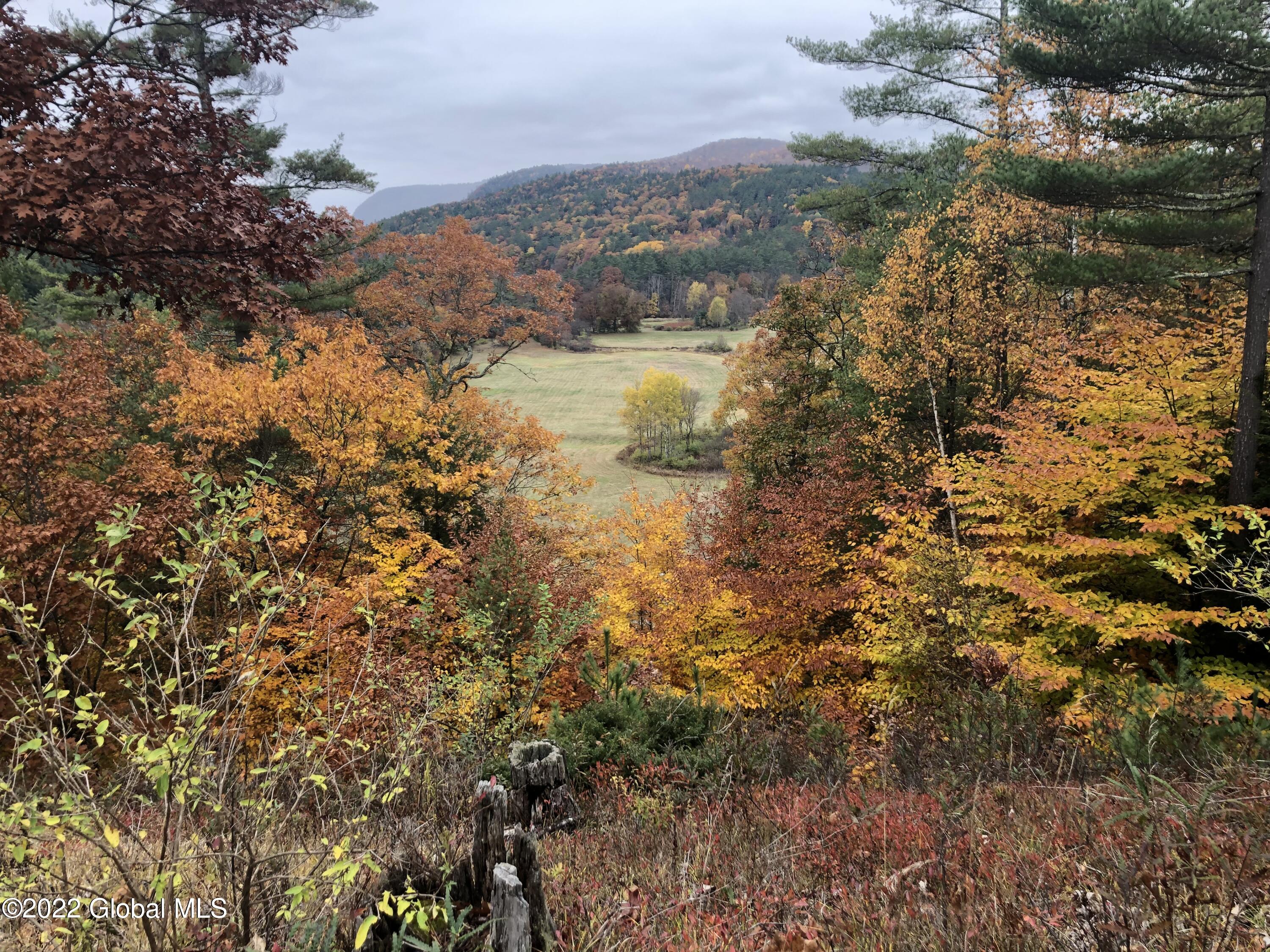 40 Cameron Road Thurman, NY 12810 - Photo 5 of 48 Valley Veiw