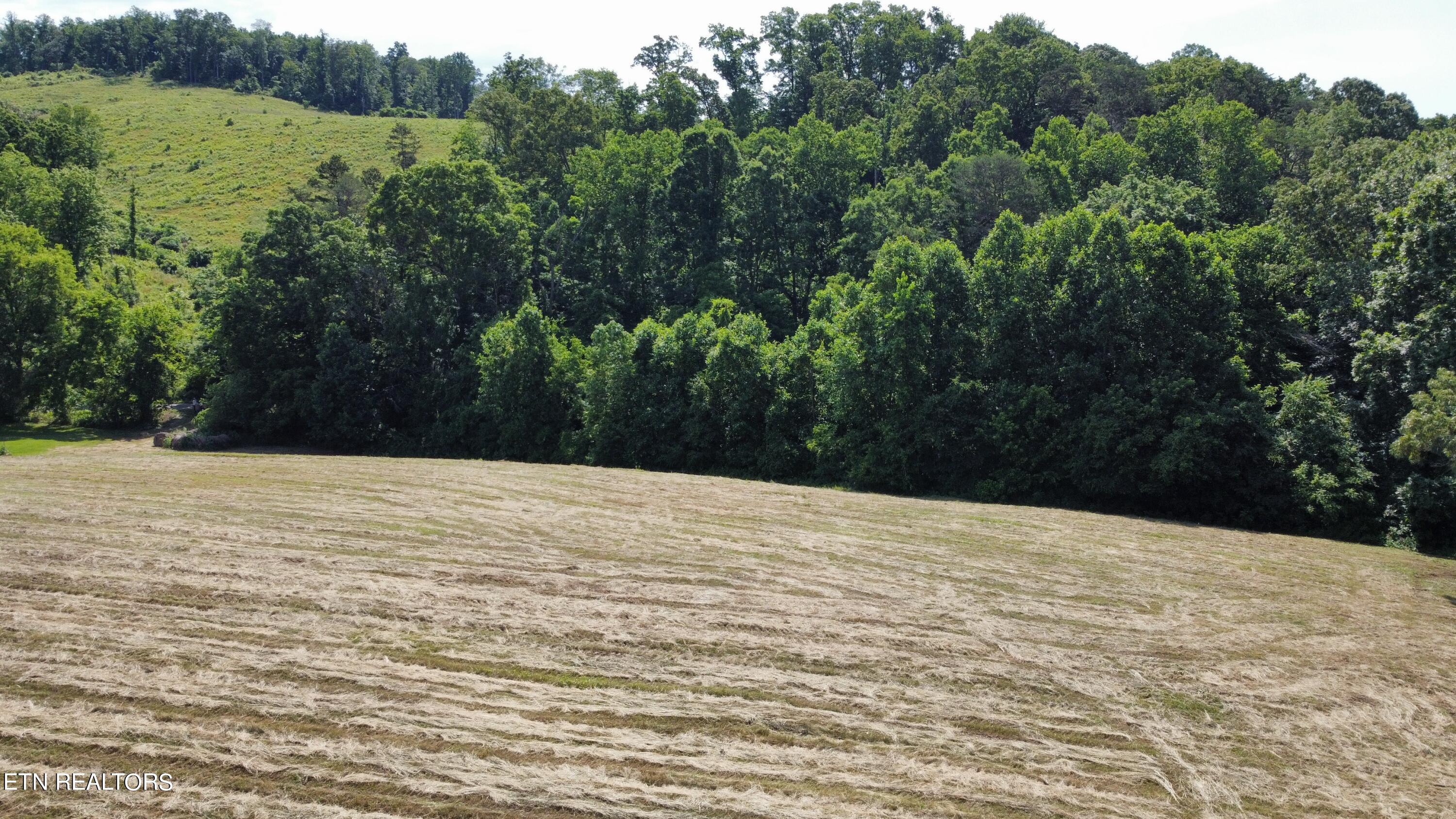 7.35-acres Mitchell Road Blaine, TN 37709 - Photo 2 of 5 dji_fly_20240529_101942_496_171699239552