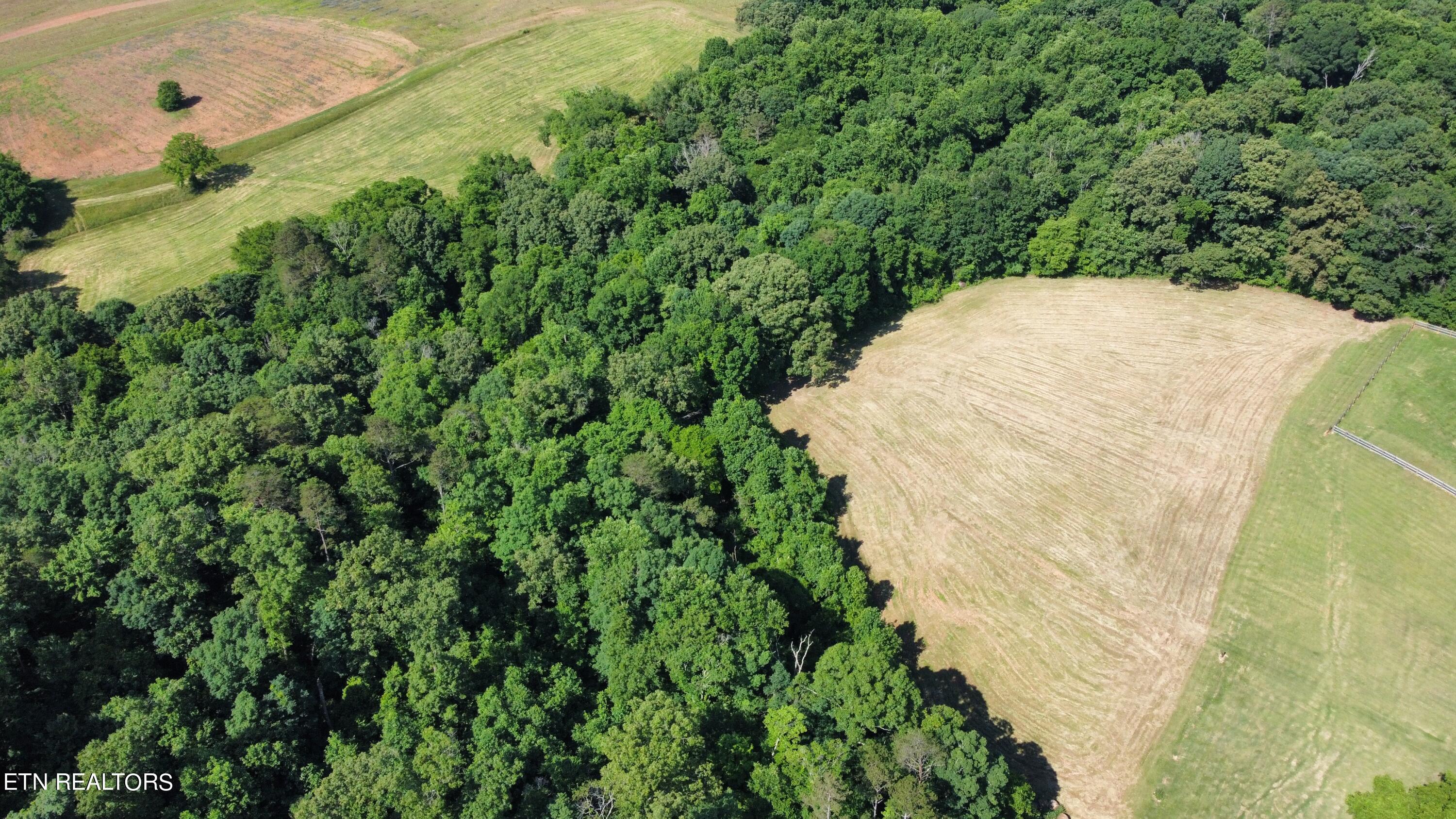 7.35-acres Mitchell Road Blaine, TN 37709 - Photo 3 of 5 dji_fly_20240529_101558_491_171699221153