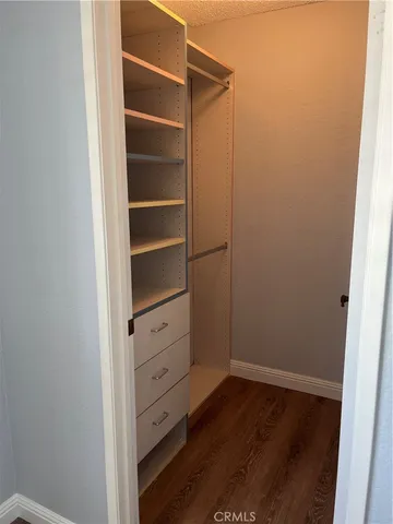 a view of a potted flower in a yard