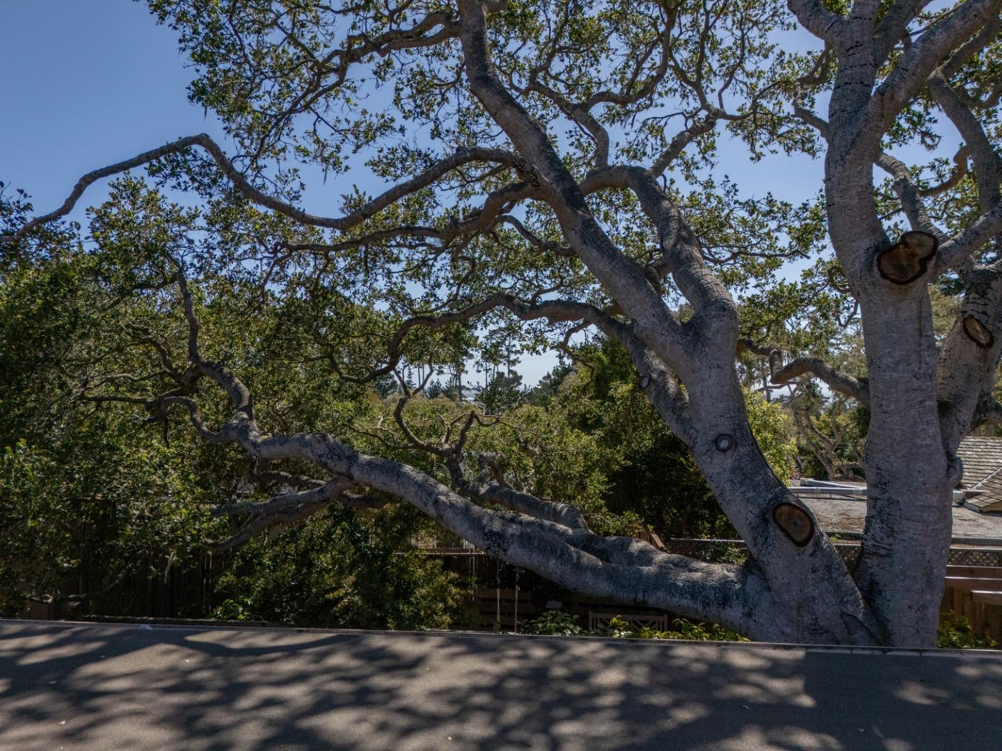 1034 Matador Road Pebble Beach, CA 93953 - Photo 17 of 32