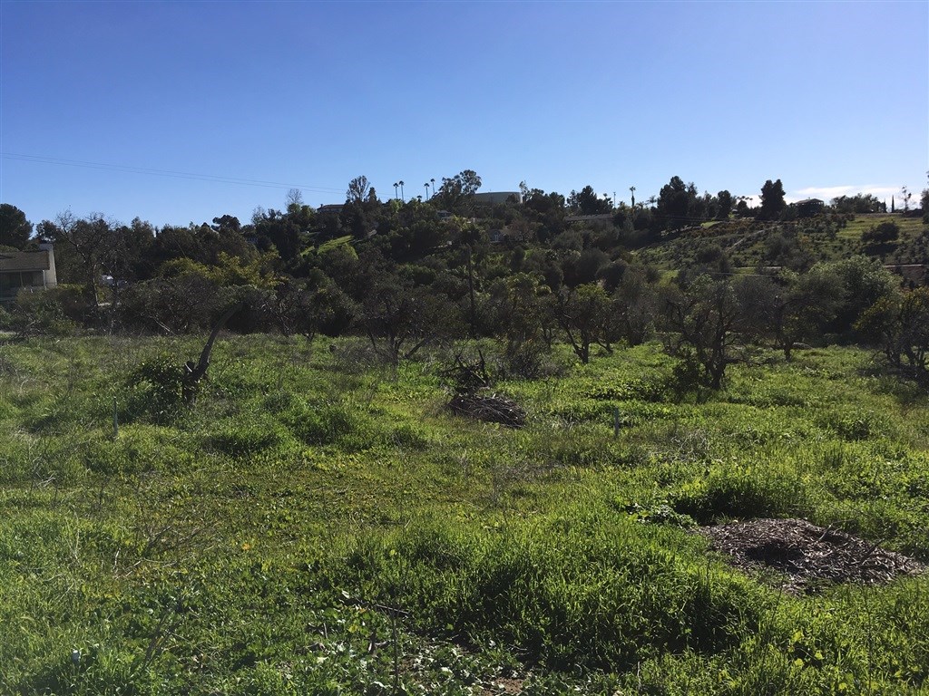 2 Riverview Dr@mr Ranch Fallbrook, CA 92028 - Photo 4 of 9