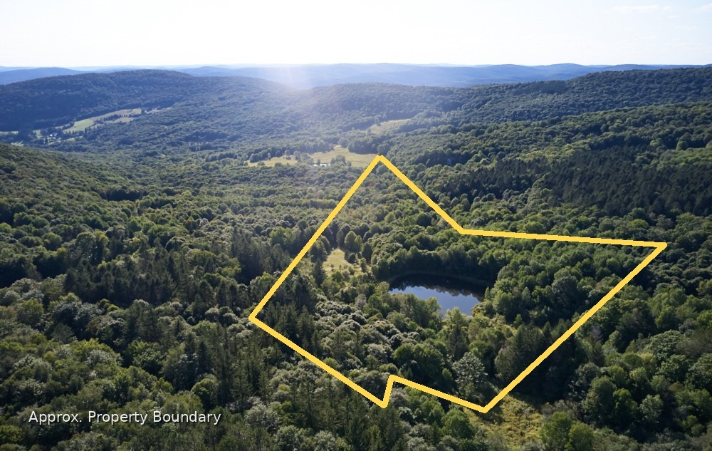 1855 Davis Hollow Road Andes, NY 13731 - Photo 2 of 8
