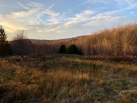 1855 Davis Hollow Road Andes, NY 13731 - Photo 3 of 8