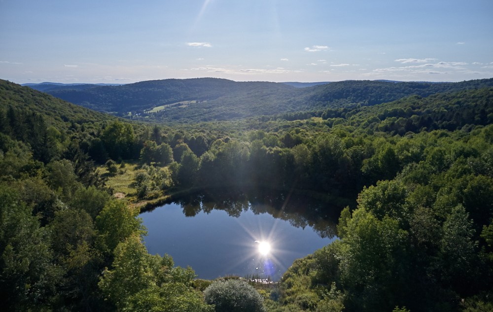 1855 Davis Hollow Road Andes, NY 13731 - Photo 4 of 8