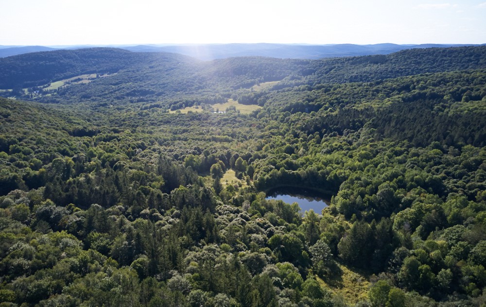 1855 Davis Hollow Road Andes, NY 13731 - Photo 6 of 8