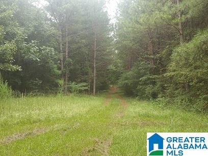 0 Coleman Road Sylacauga, AL 35150 - Photo 3 of 13