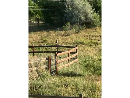 $1,349,000 | 4490 Clay Street, Boulder, CO 80301