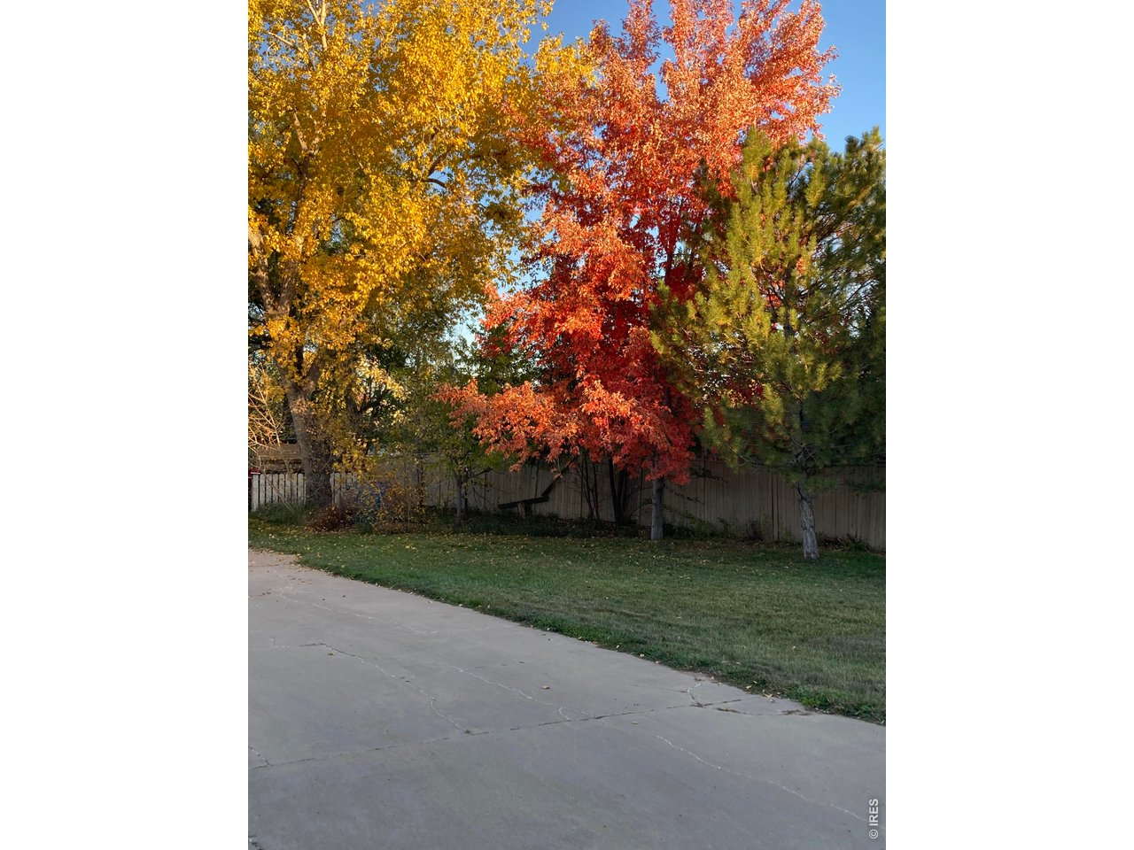 4490 Clay Street Boulder, CO 80301 - Photo 50 of 50 a view of a yard with an trees