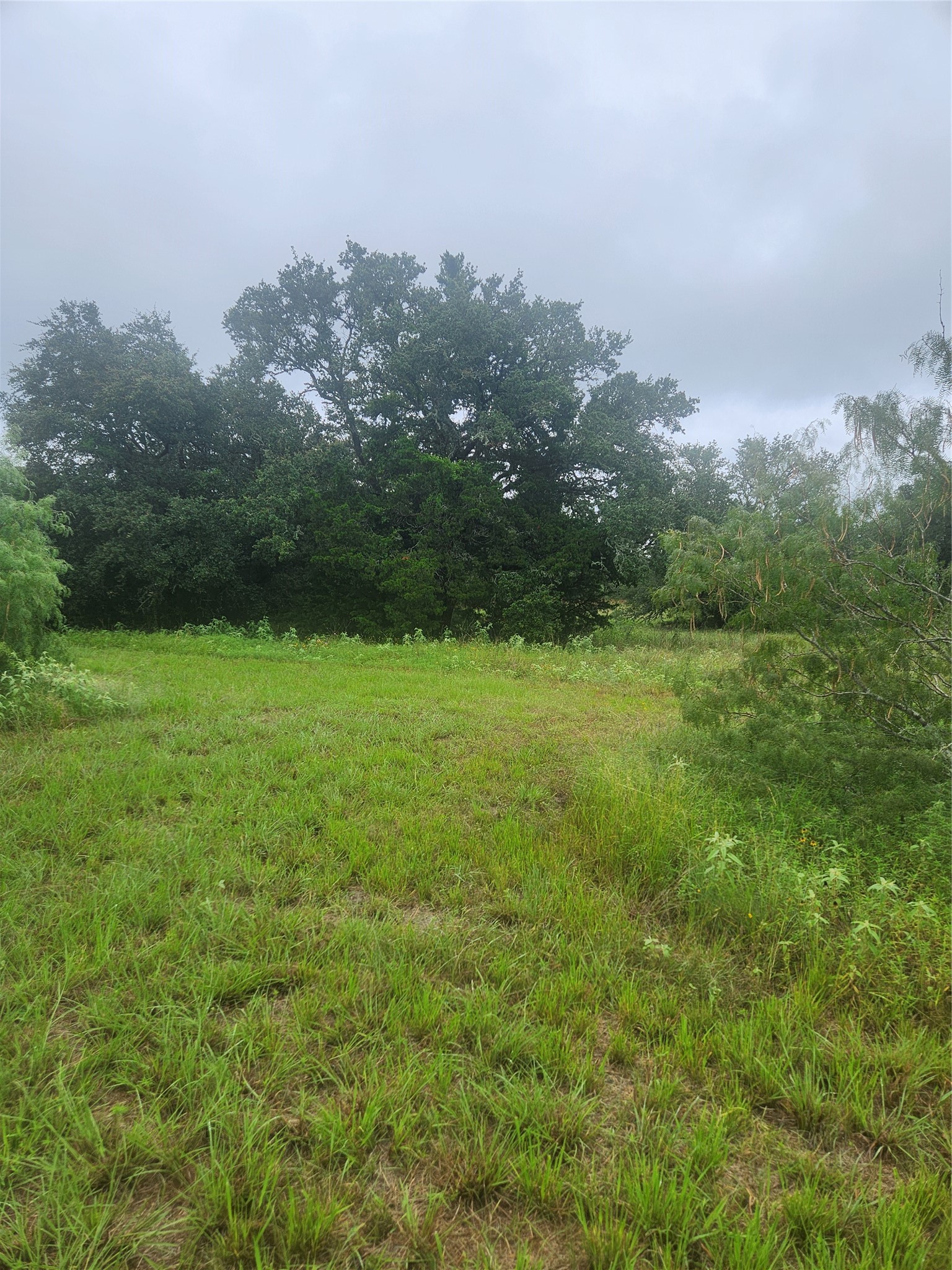 7600 Race Track Road La Grange, TX 78945 - Photo 3 of 13