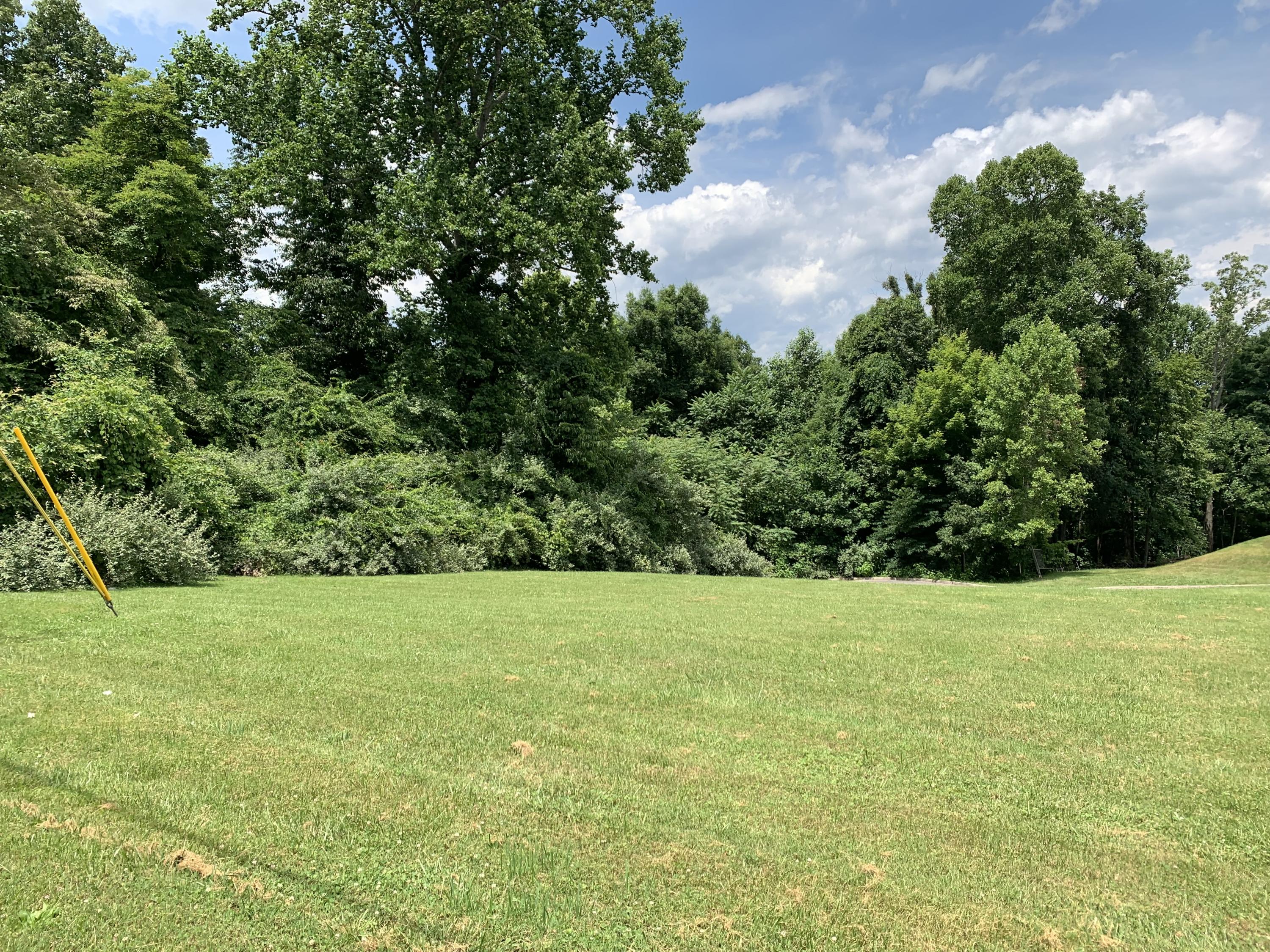 Lot 1 Ridge Circle Road Andersonville, TN 37705 - Photo 3 of 5 Circle Ridge Rd lot 1