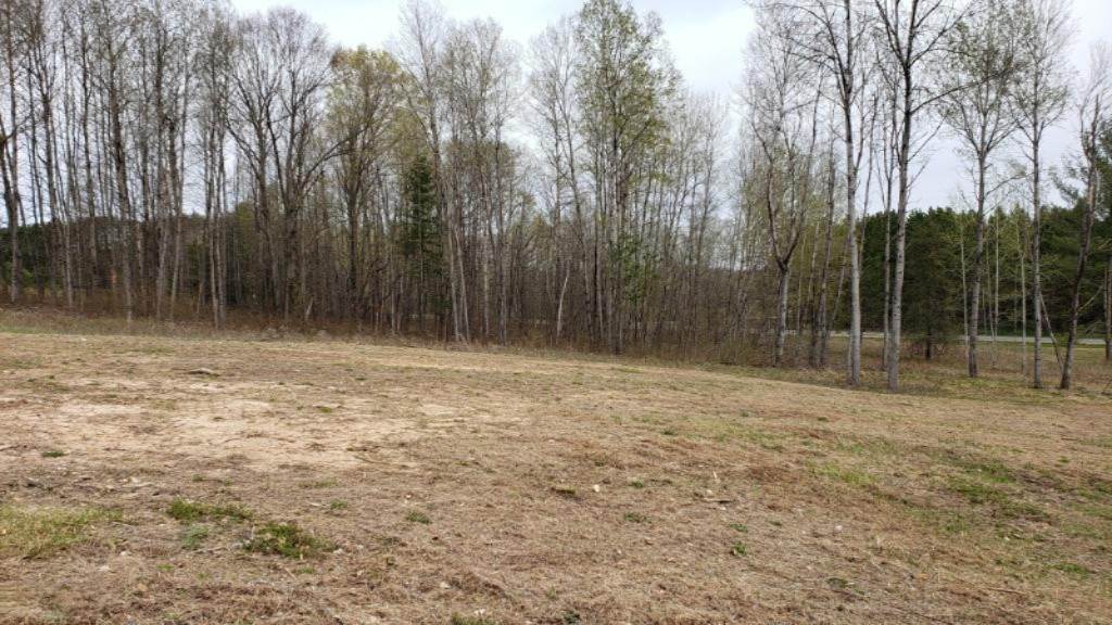 3 1/2 East 3 1/2 Mile Road Baldwin, MI 49304 - Photo 8 of 13