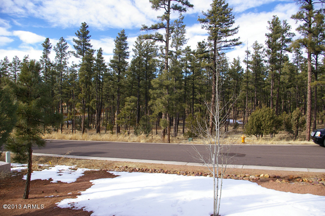 2961 West Alpine Rdg Road Show Low, AZ 85901 - Photo 17 of 17 View of the Pines