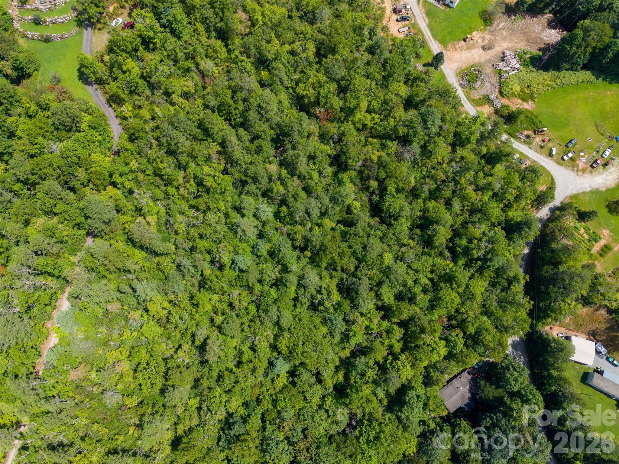 0 Miracle Valley Road Pisgah Forest, NC 28768 - Photo 14 of 18 Gallery Image 14
