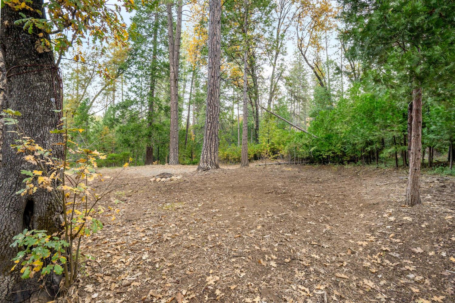 10376 Smith Road Grass Valley, CA 95949 - Photo 20 of 38