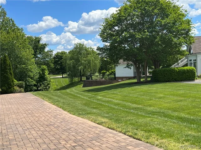 a view of a park with large trees