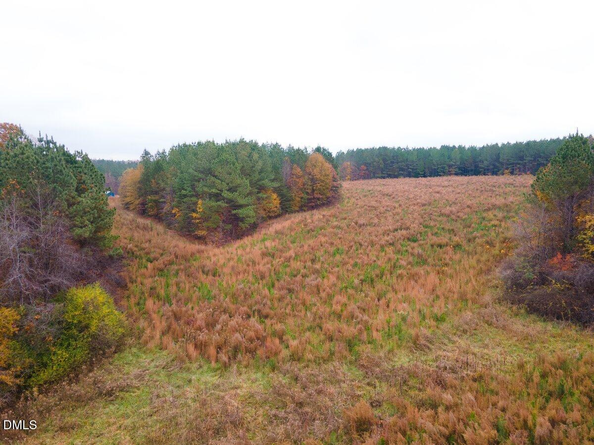 4 Old Allensville Road Roxboro, NC 27574 - Photo 5 of 8 DJI_0099