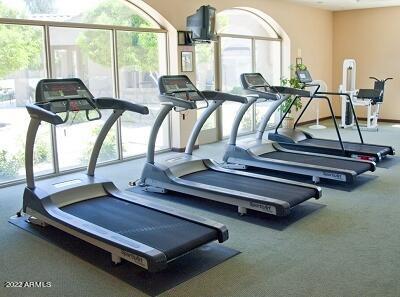 4202 East Broadway Road, Unit 59 Mesa, AZ 85206 - Photo 32 of 39 treadmill-1 Verde Groves