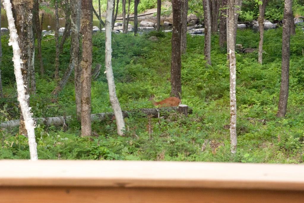 207 Hanscom Road Benton, ME 04901 - Photo 28 of 35 View from the deck of Fifteen Mile...