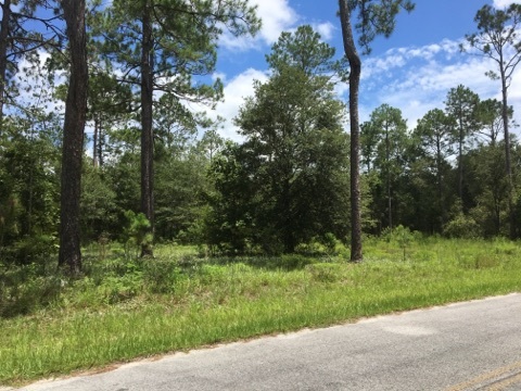 0 Pine Bluff Road, Unit 1 Perry, FL 32348 - Photo 5 of 7