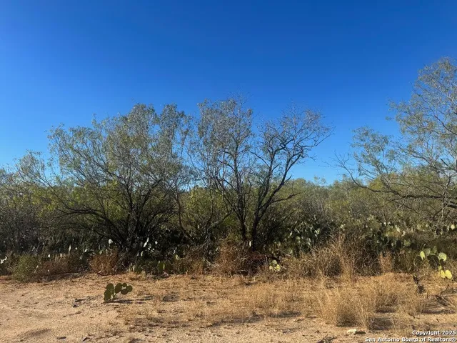 a view of a yard covered with snow in front of house