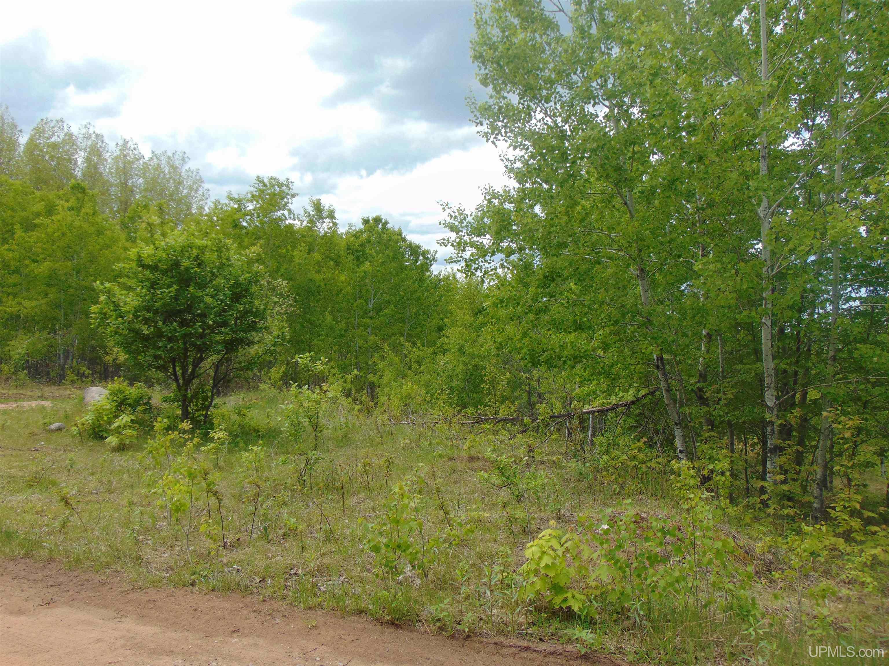 Tbd 1 Off M28 Road Trout Creek, MI 49967 - Photo 22 of 24