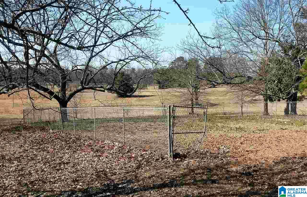 8160 Corner School Road Empire, AL 35063 - Photo 2 of 6