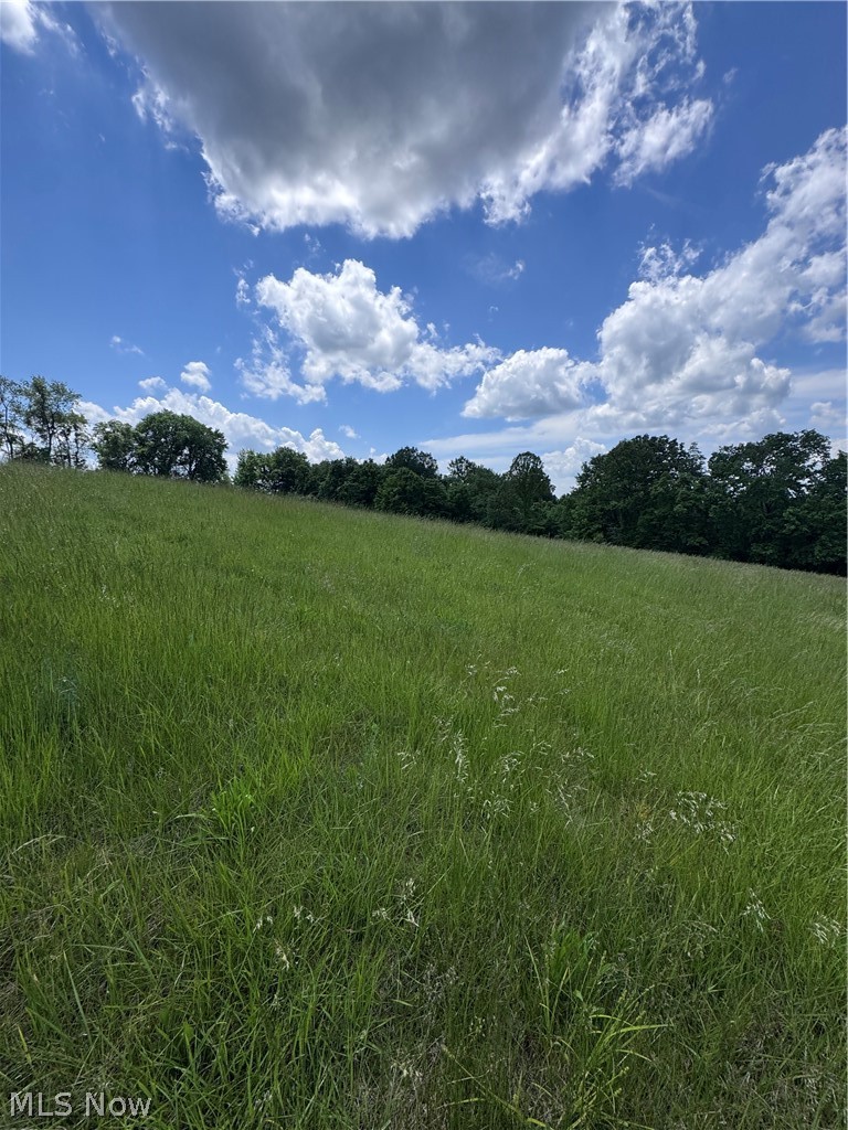 Johnson Ridge Road, Unit 4 6 Stockport, OH 43787 - Photo 8 of 16
