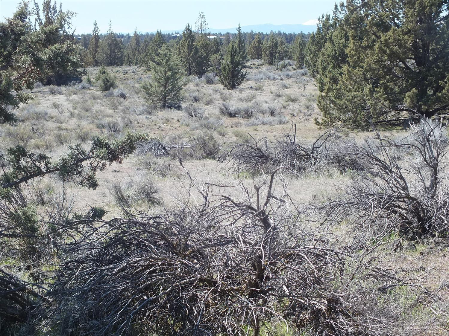 0 Southwest Sage Hen Road Terrebonne, OR 97760 - Photo 10 of 24 Additional Photo