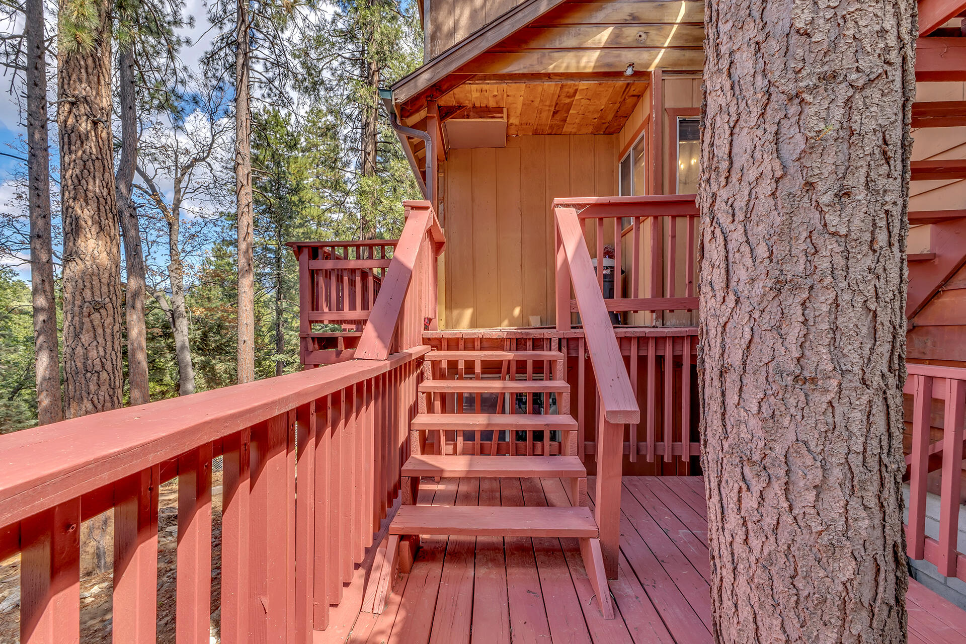 52680 Pine Ridge Road Idyllwild, CA 92549 - Photo 83 of 90 IMG_0510