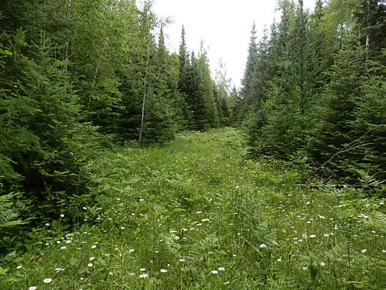 N12061 Old 13 Road Fifield, WI 54524 - Photo 31 of 35 Gallery Image 31