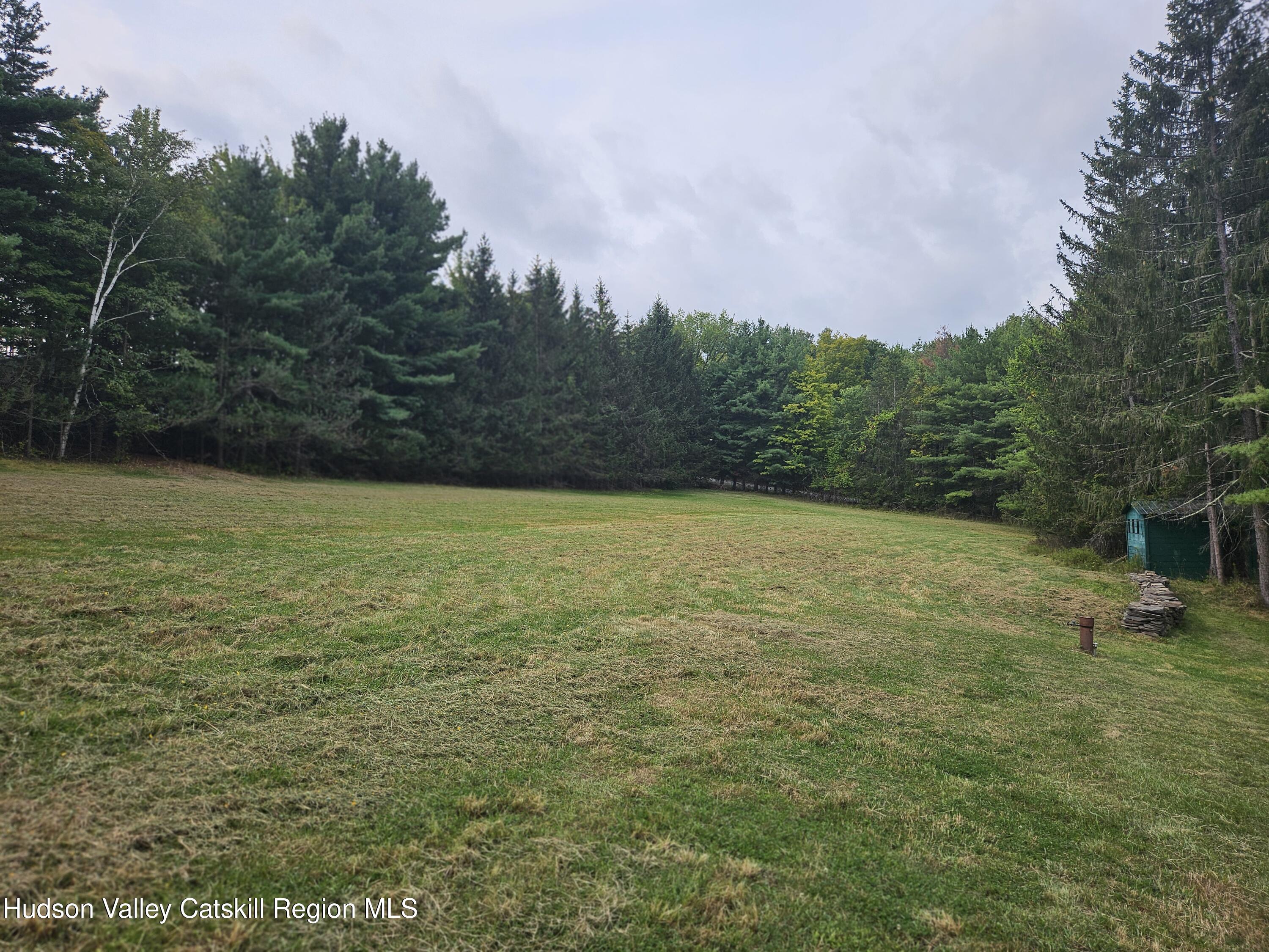20 Reich Road Cornwallville, NY 12418 - Photo 39 of 53 Spacious Land