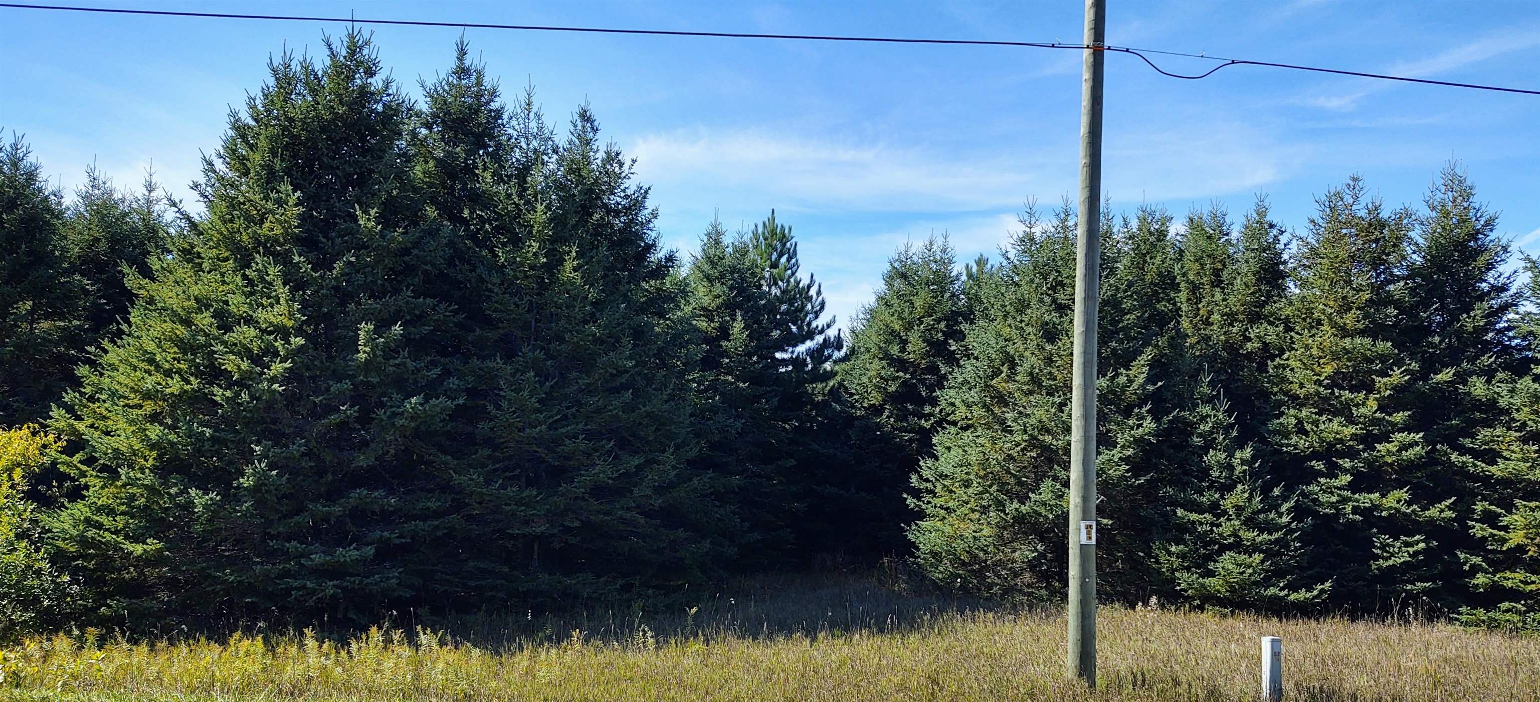 Lake Road, Unit TAX Fife Lake, MI 49633 - Photo 2 of 6