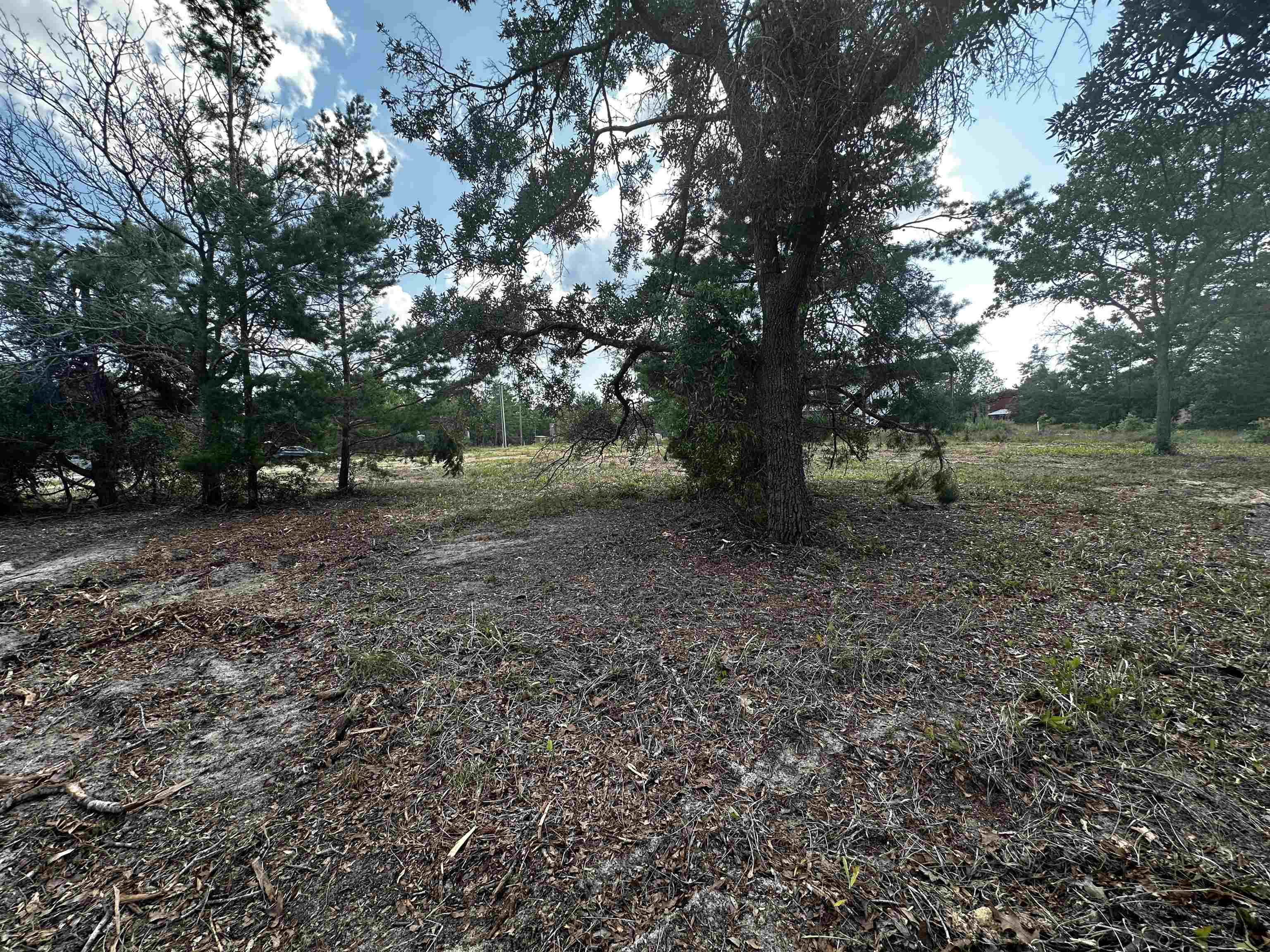 189 Tyler Terrace Perry, FL 32348 - Photo 15 of 17