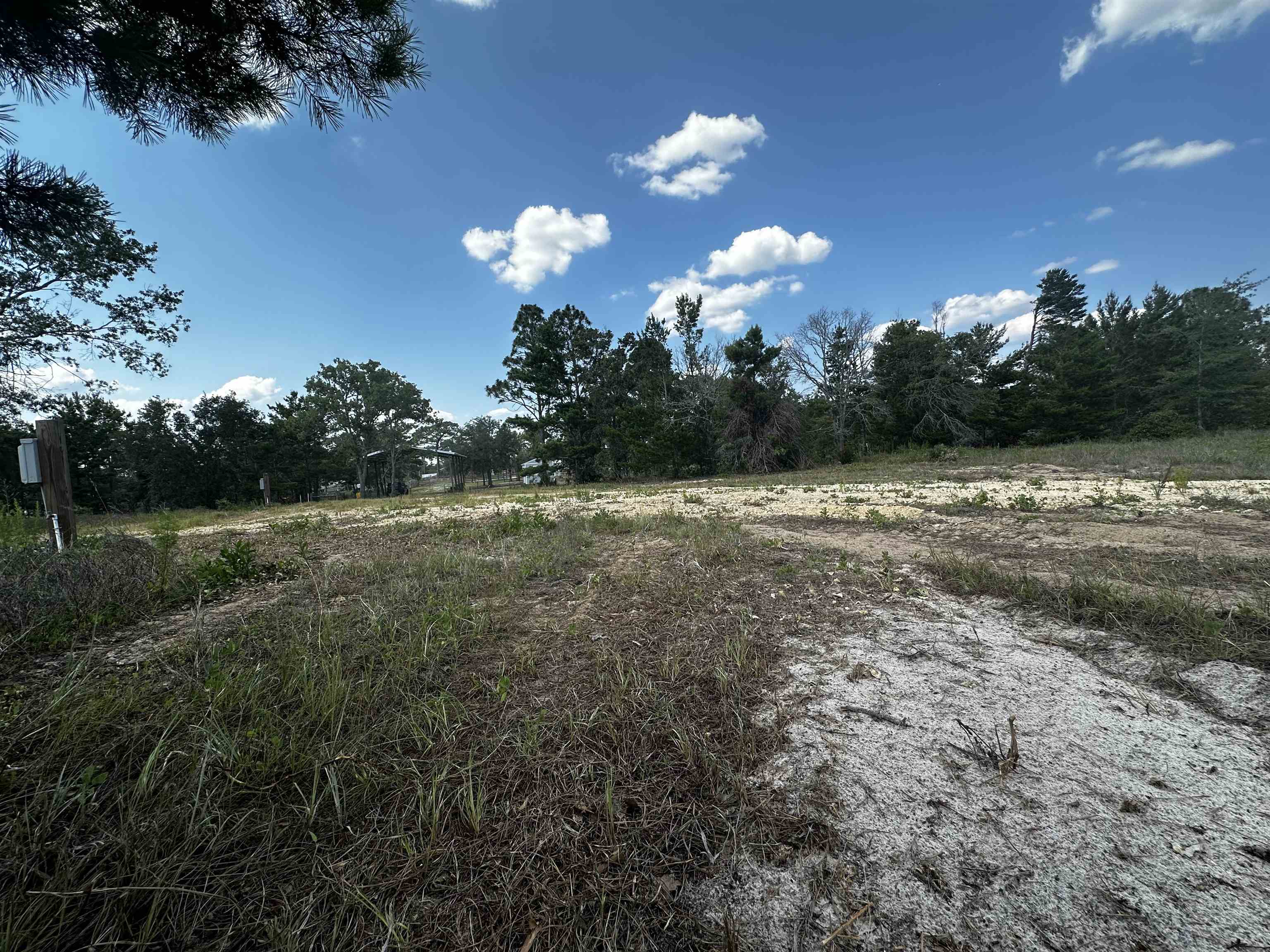 189 Tyler Terrace Perry, FL 32348 - Photo 8 of 17