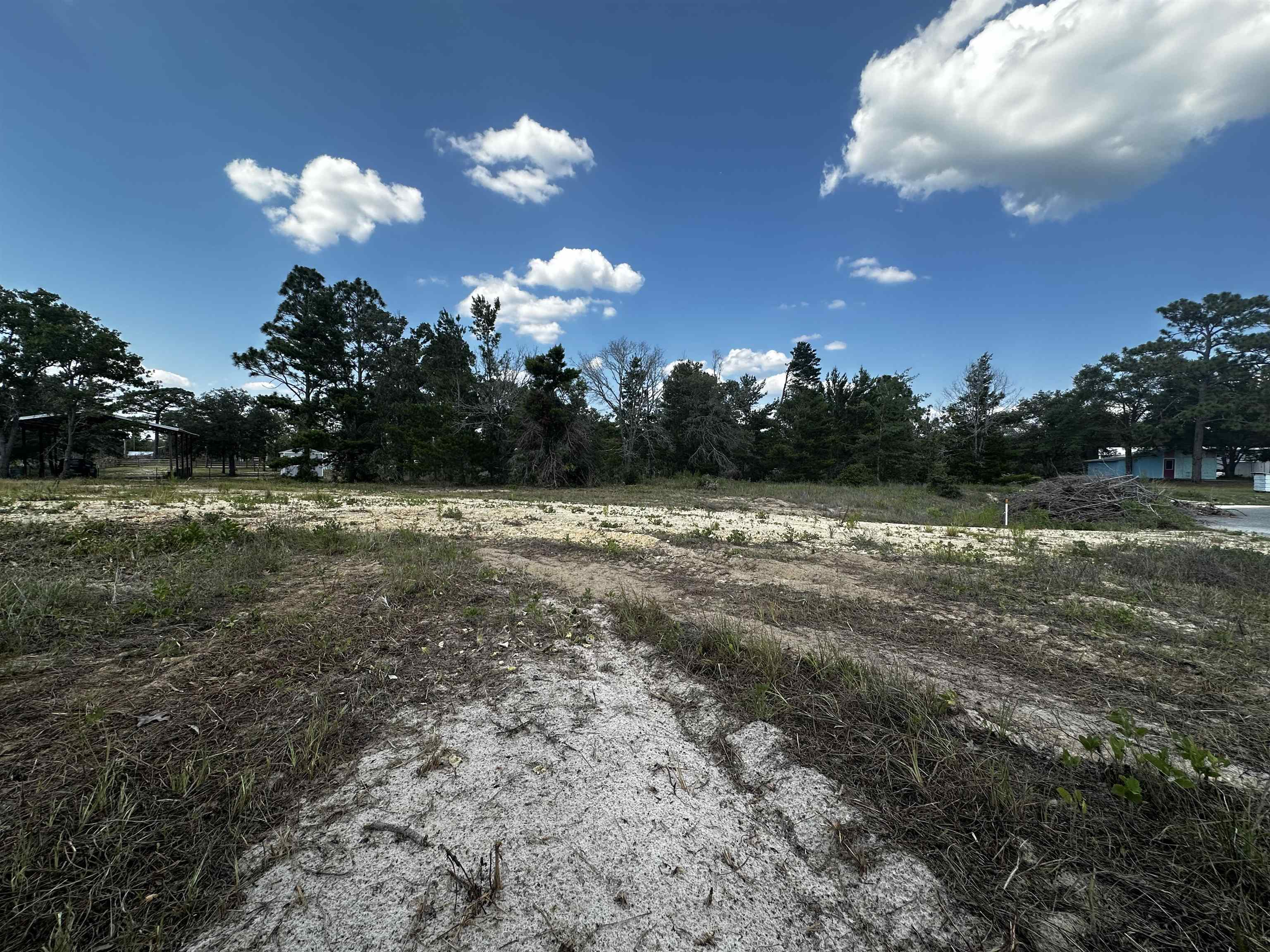 189 Tyler Terrace Perry, FL 32348 - Photo 9 of 17