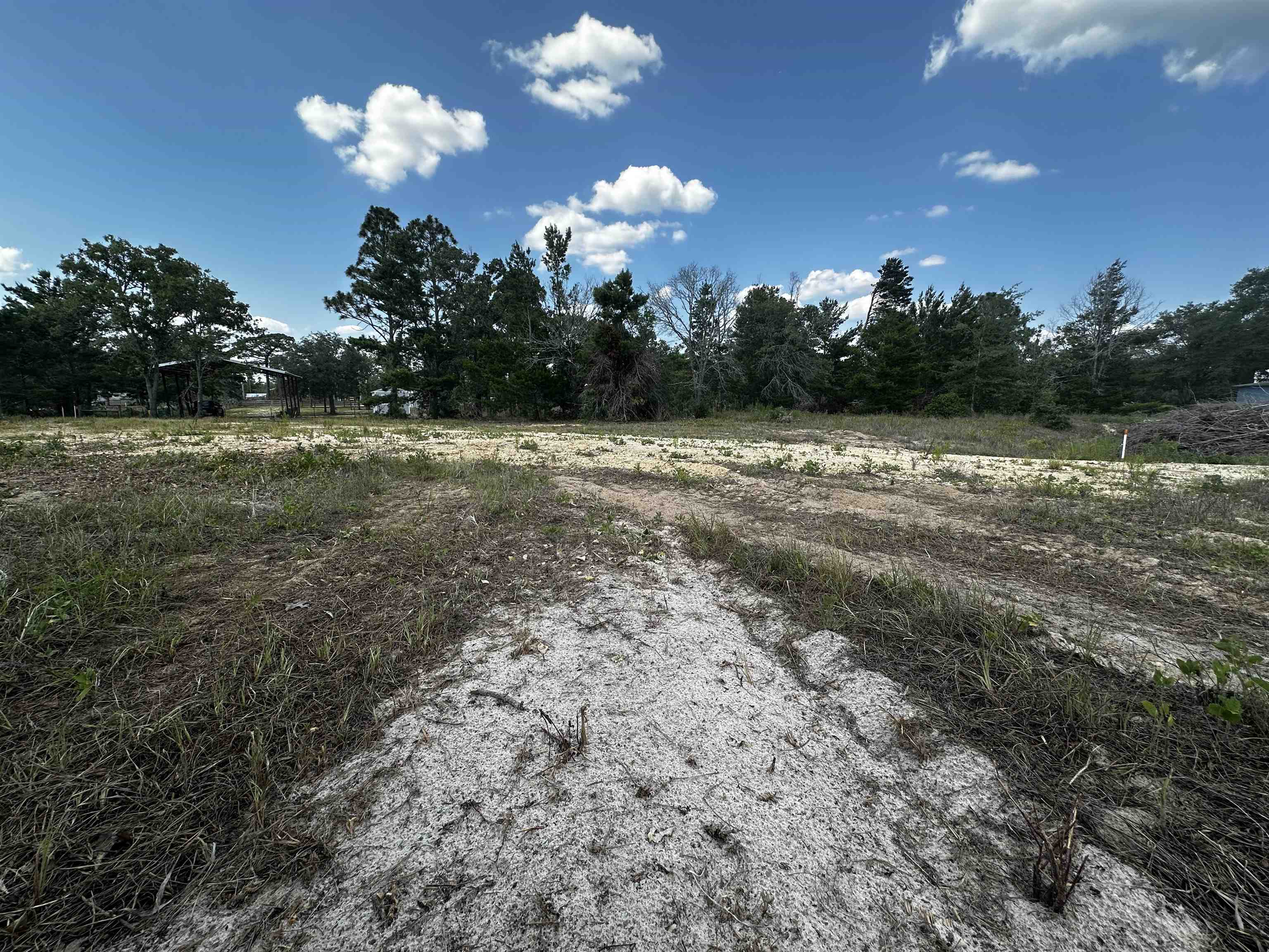 189 Tyler Terrace Perry, FL 32348 - Photo 10 of 17