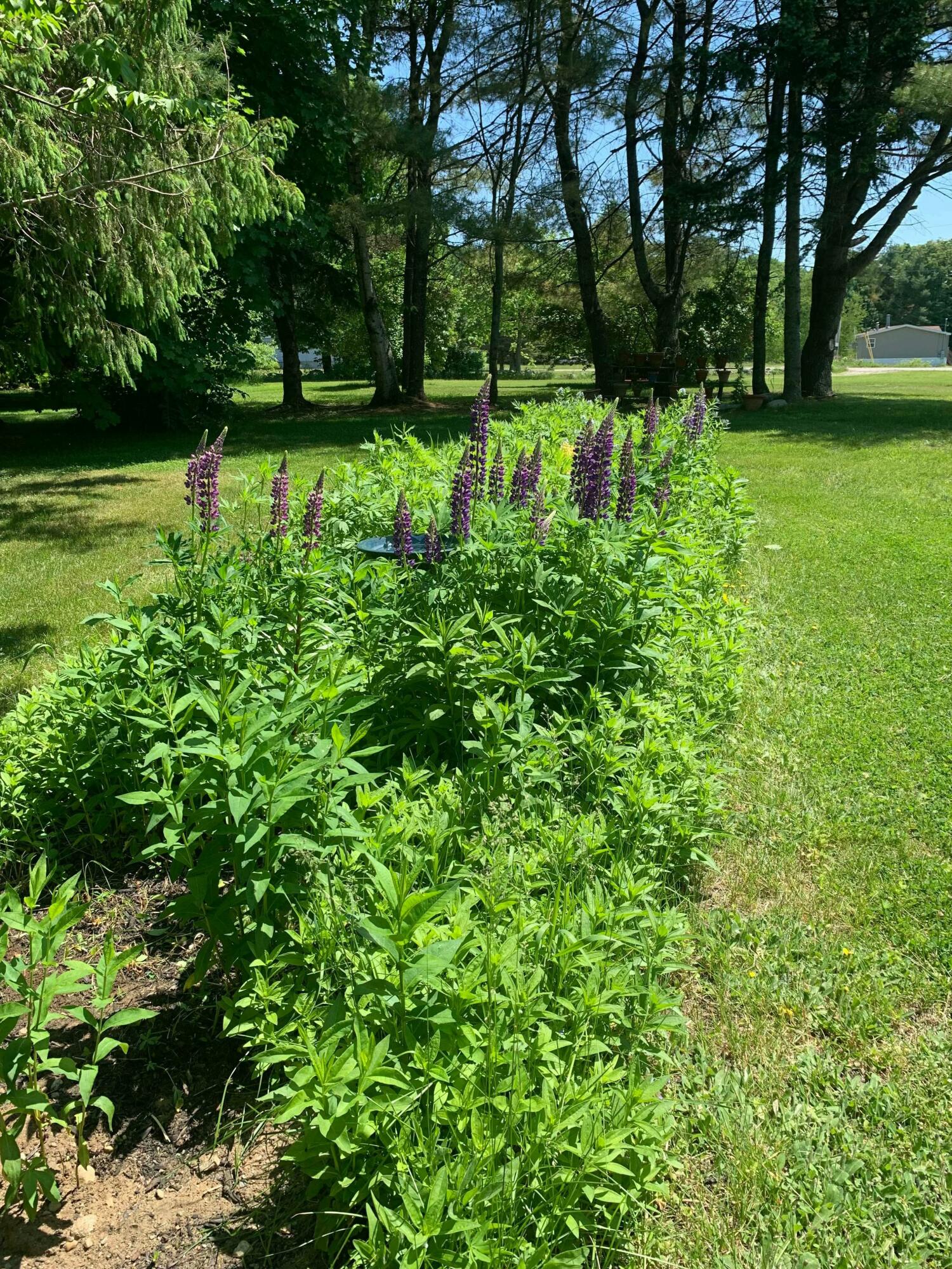 133 Cemetery Road Monmouth, ME 04259 - Photo 55 of 58 tempImagetDYjyr