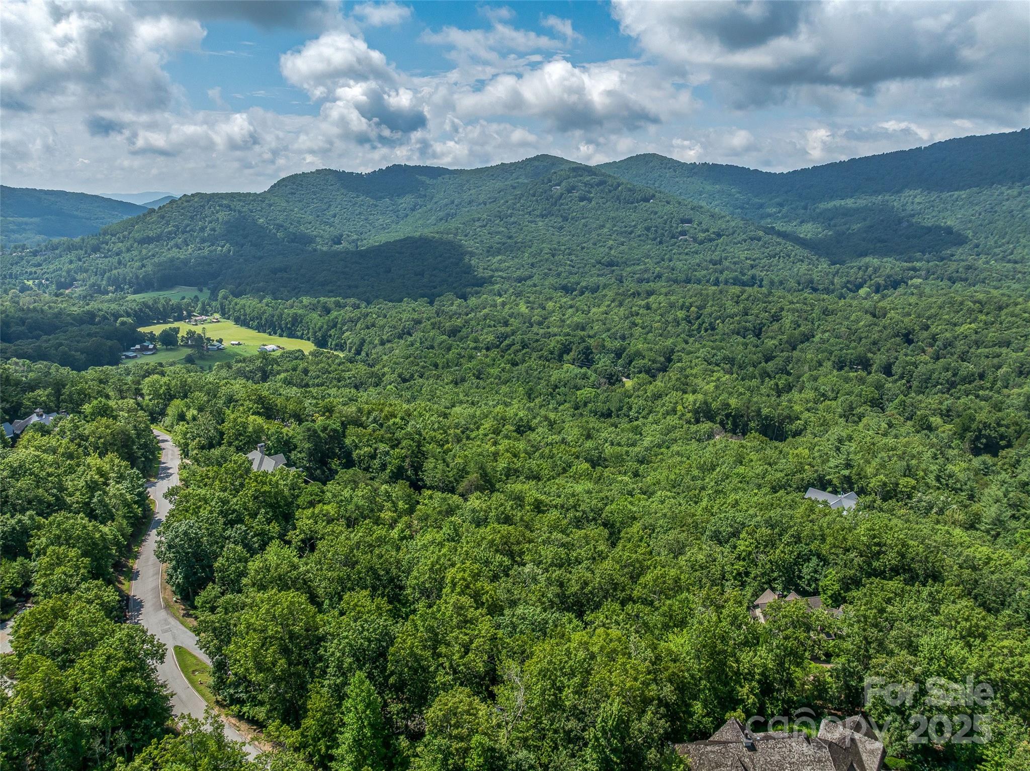 72 Smokey Ridge Trail, Unit 196 Arden, NC 28704 - Photo 13 of 34 a view of a mountain in the distance in a field