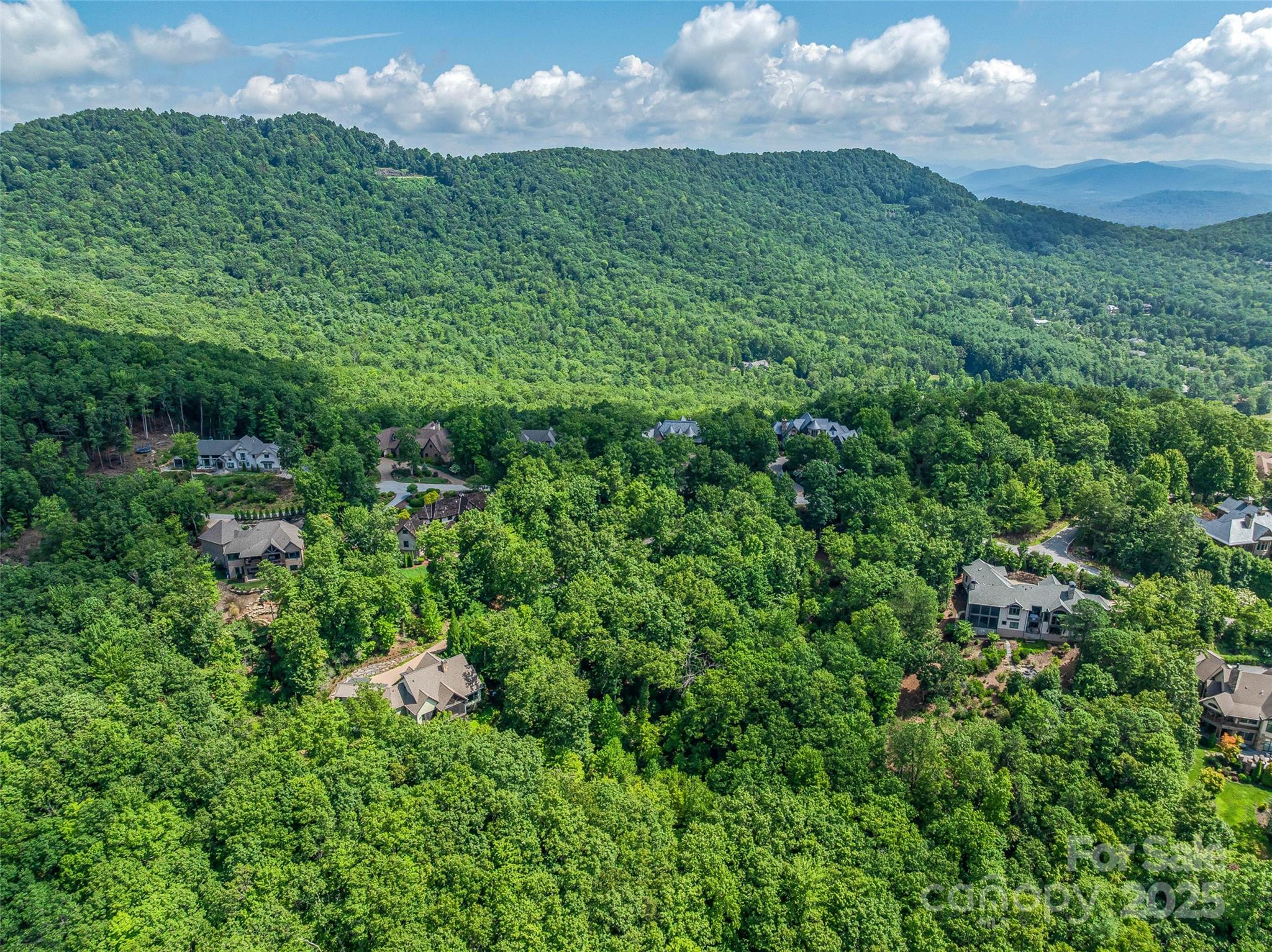 72 Smokey Ridge Trail, Unit 196 Arden, NC 28704 - Photo 14 of 34 a view of a bunch of trees in a field