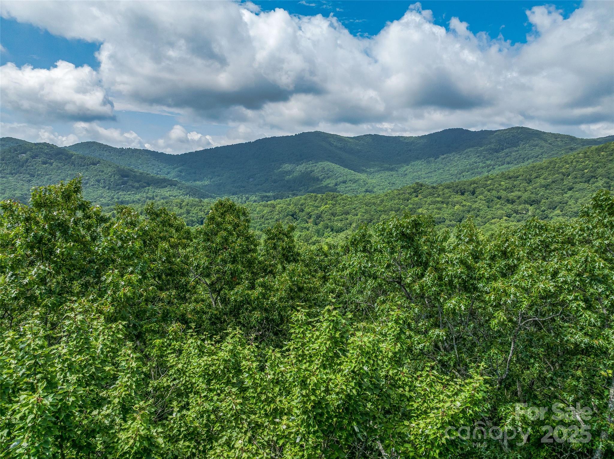 72 Smokey Ridge Trail, Unit 196 Arden, NC 28704 - Photo 15 of 34 a view of a bunch of trees