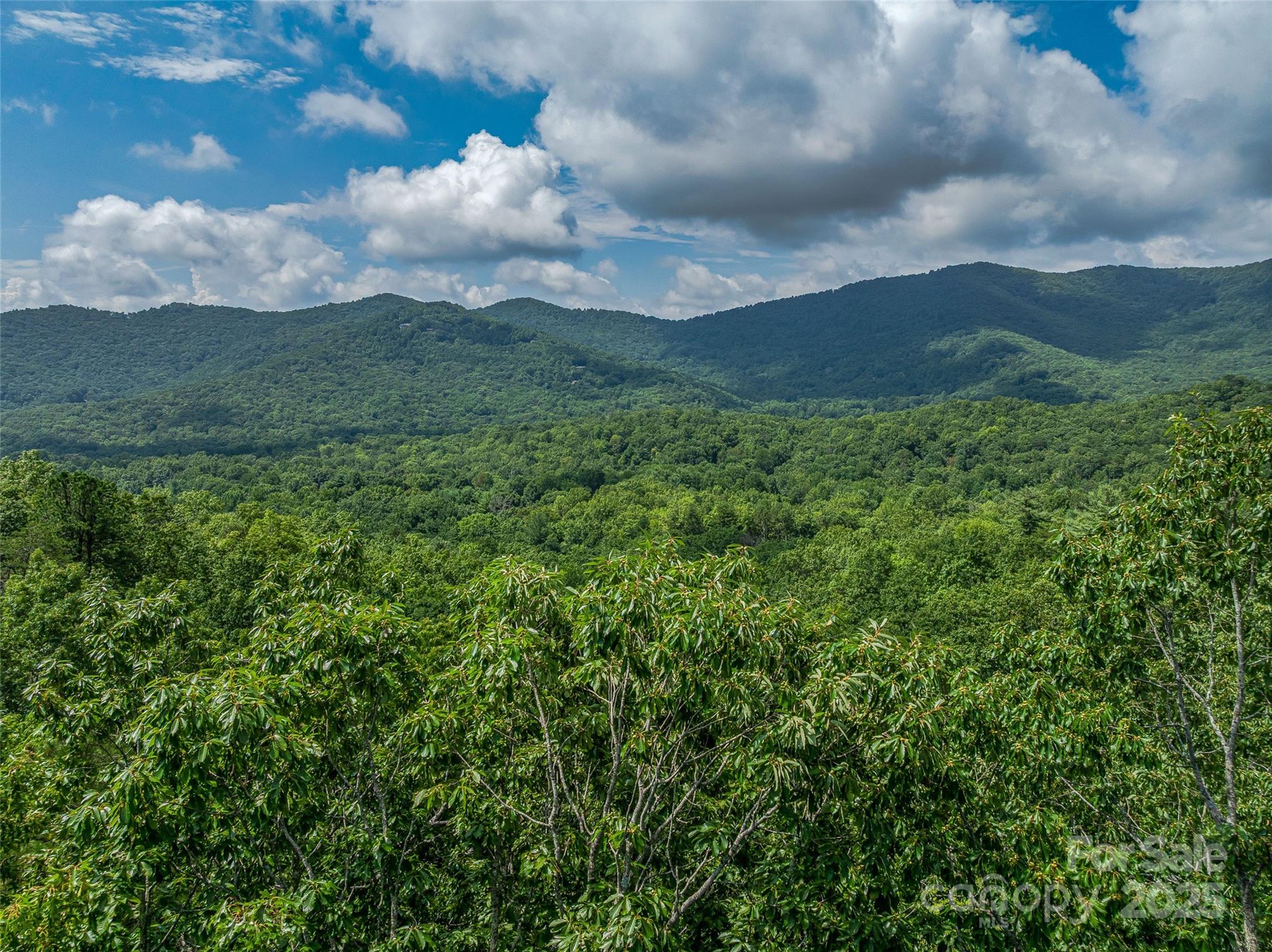 72 Smokey Ridge Trail, Unit 196 Arden, NC 28704 - Photo 16 of 34 a view of a lot of trees in a field