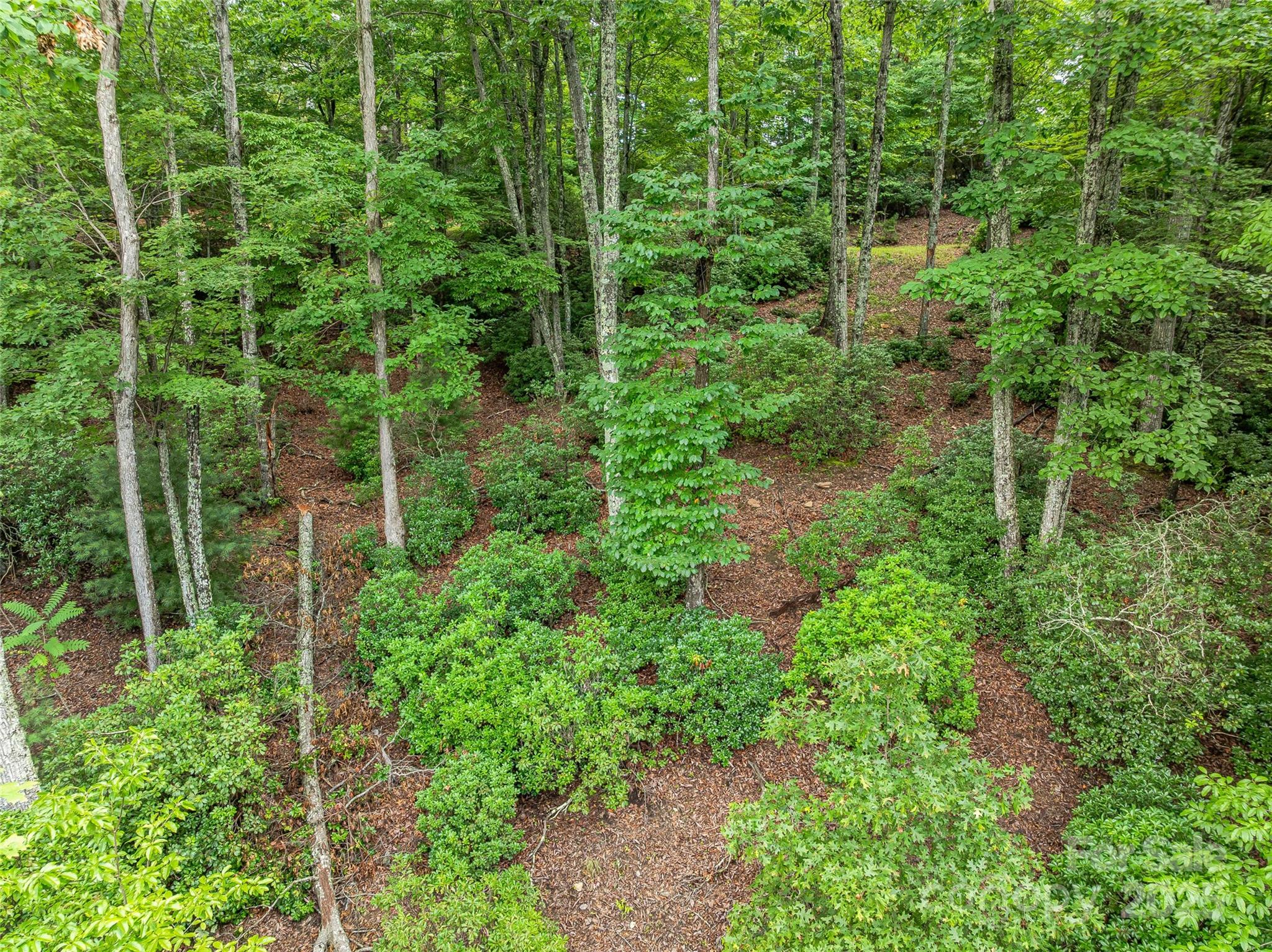 72 Smokey Ridge Trail, Unit 196 Arden, NC 28704 - Photo 17 of 34 an aerial view of residential house with outdoor space and trees all around