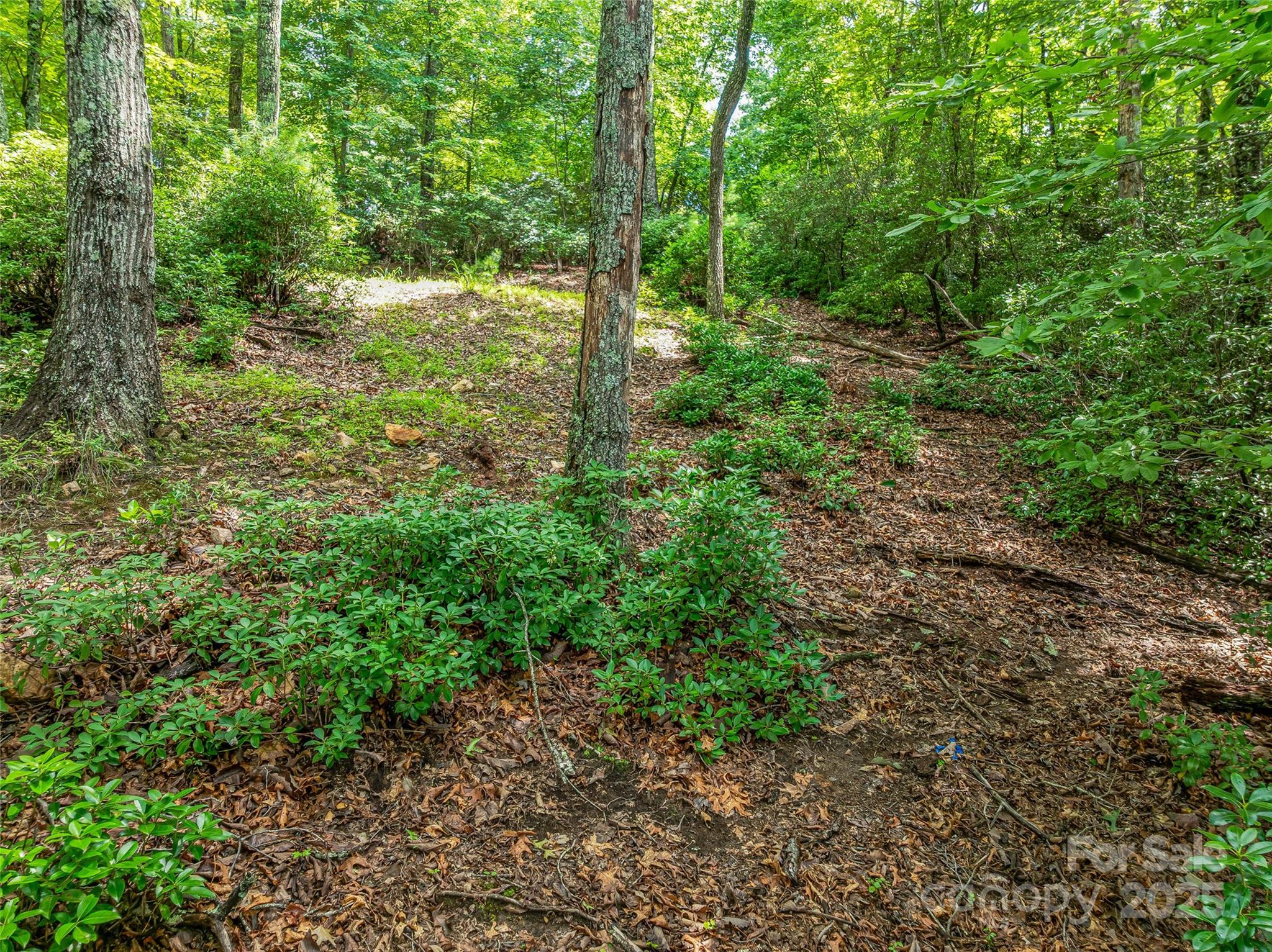 72 Smokey Ridge Trail, Unit 196 Arden, NC 28704 - Photo 18 of 34 a view of outdoor space and trees