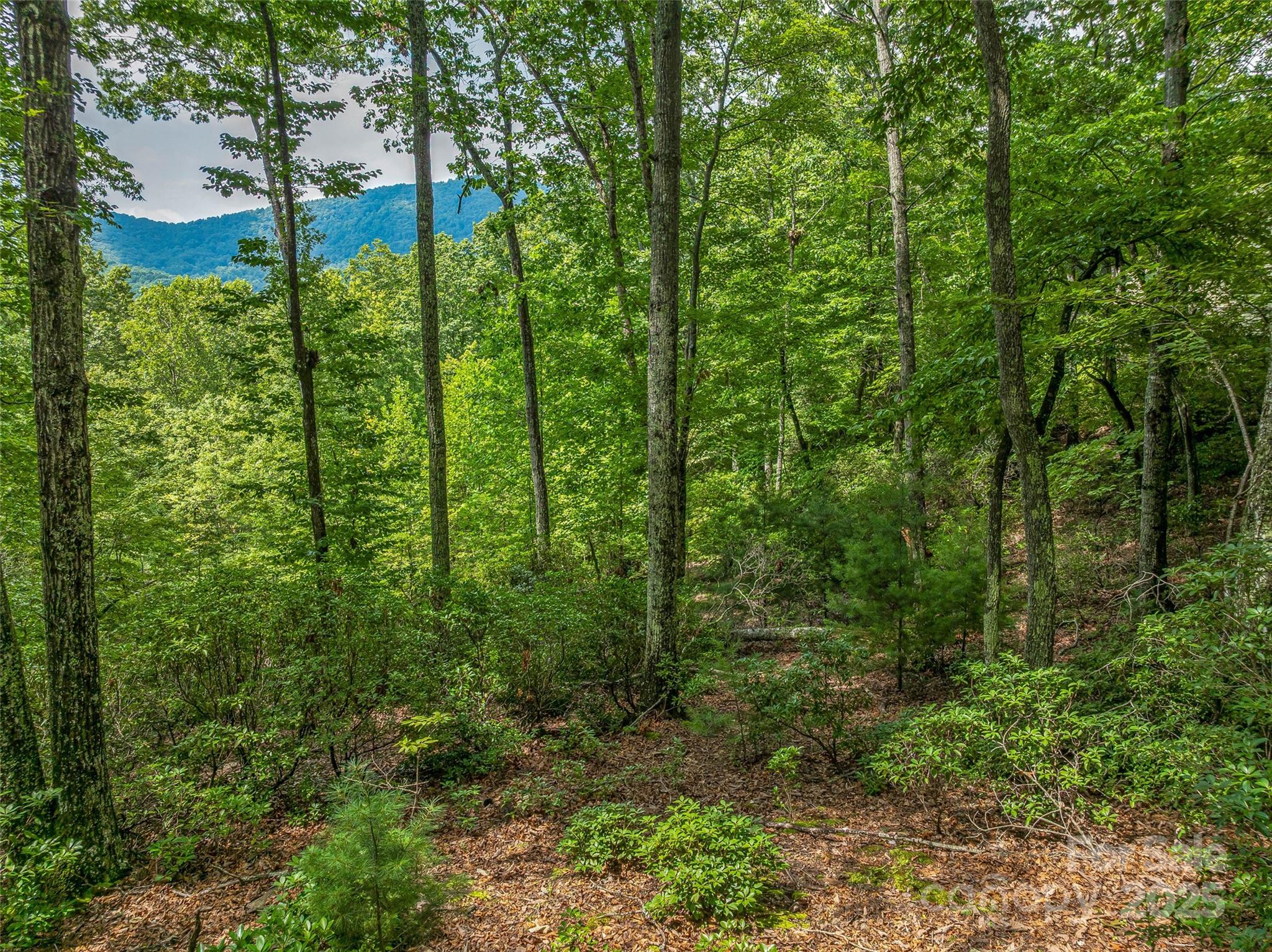 72 Smokey Ridge Trail, Unit 196 Arden, NC 28704 - Photo 19 of 34 a view of outdoor space and garden