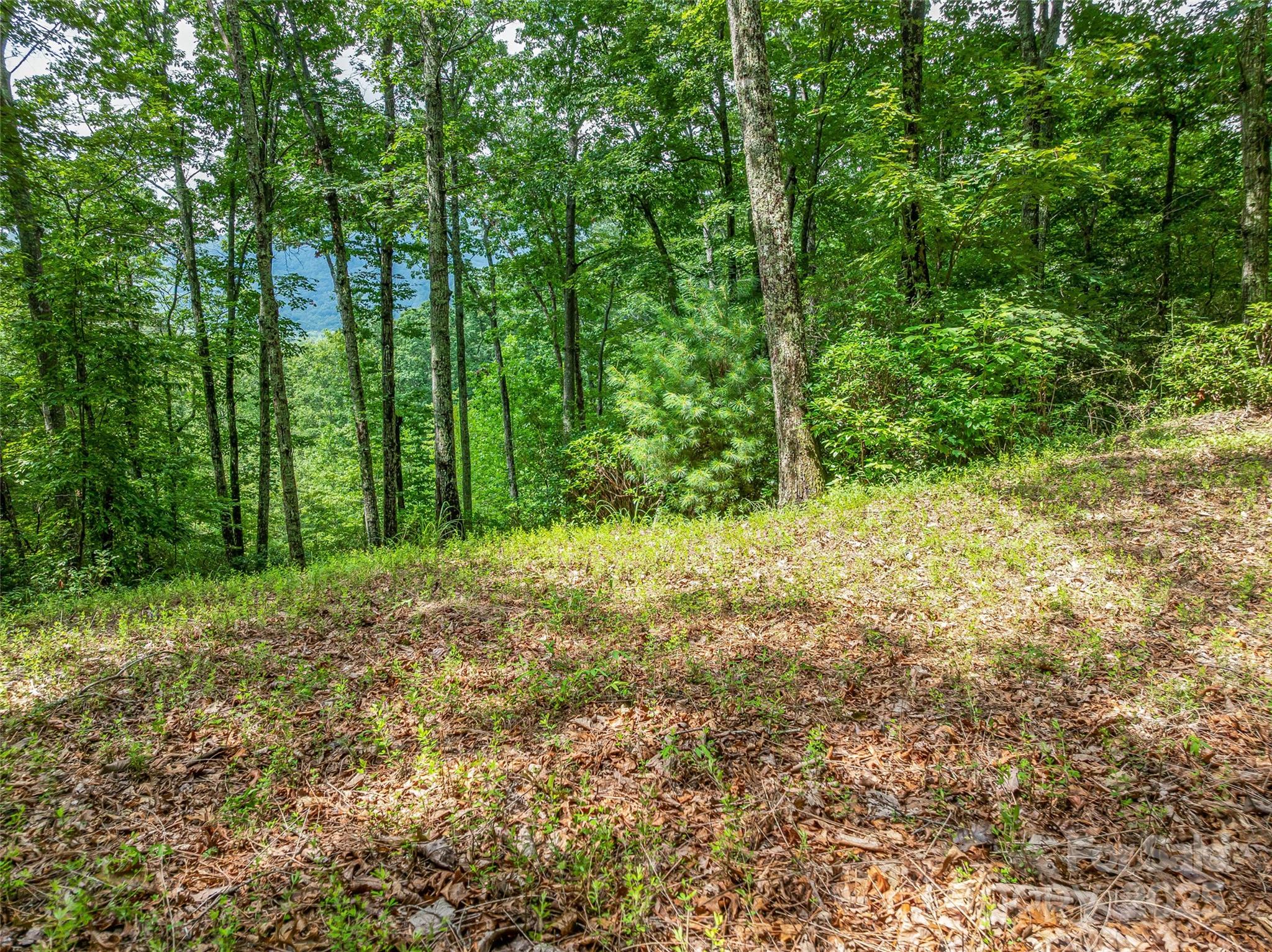 72 Smokey Ridge Trail, Unit 196 Arden, NC 28704 - Photo 20 of 34 a big yard with lots of green space and trees