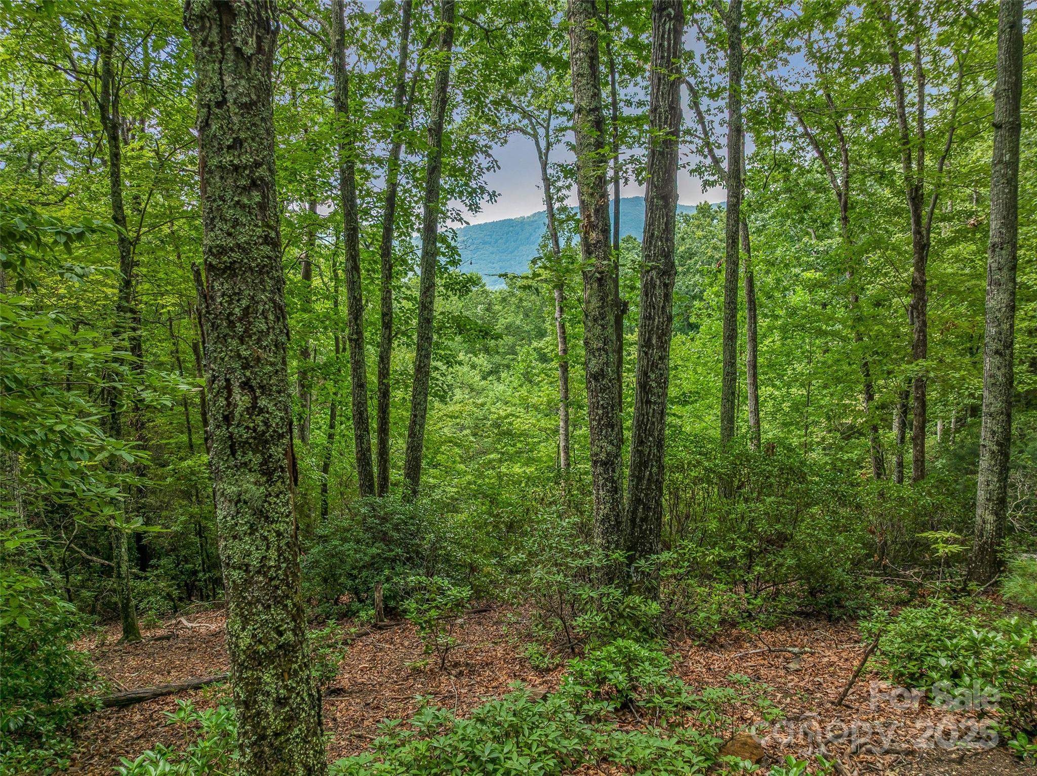 72 Smokey Ridge Trail, Unit 196 Arden, NC 28704 - Photo 21 of 34 a view of a garden