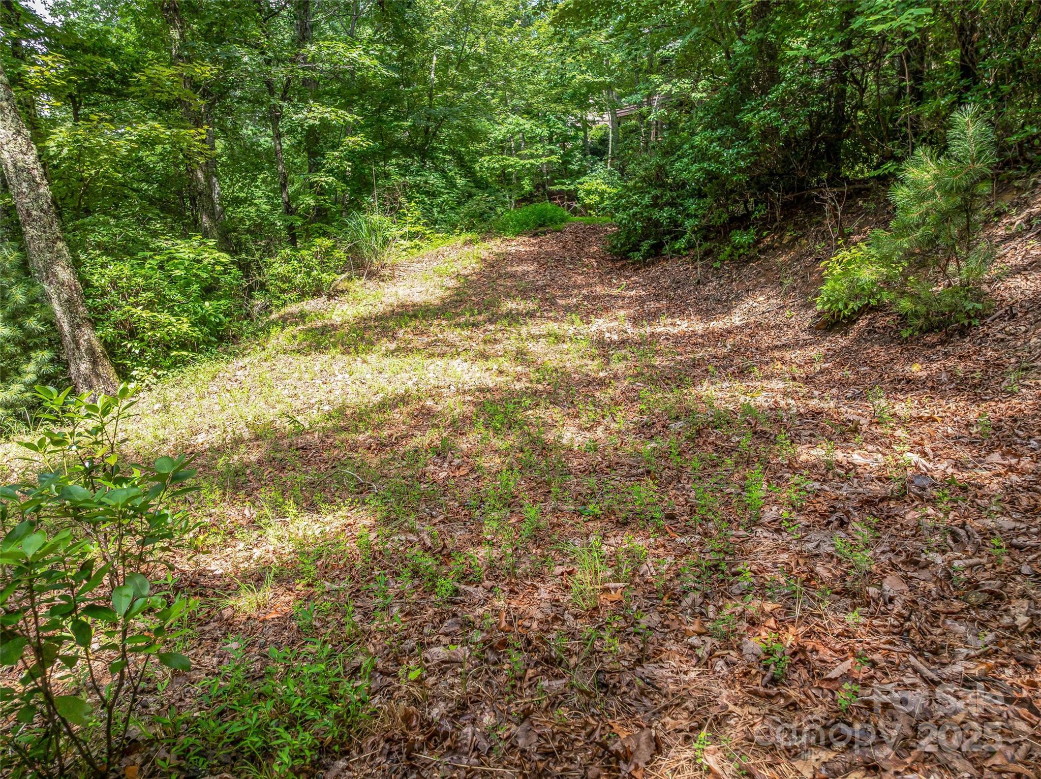72 Smokey Ridge Trail, Unit 196 Arden, NC 28704 - Photo 22 of 34 a view of a yard with a tree