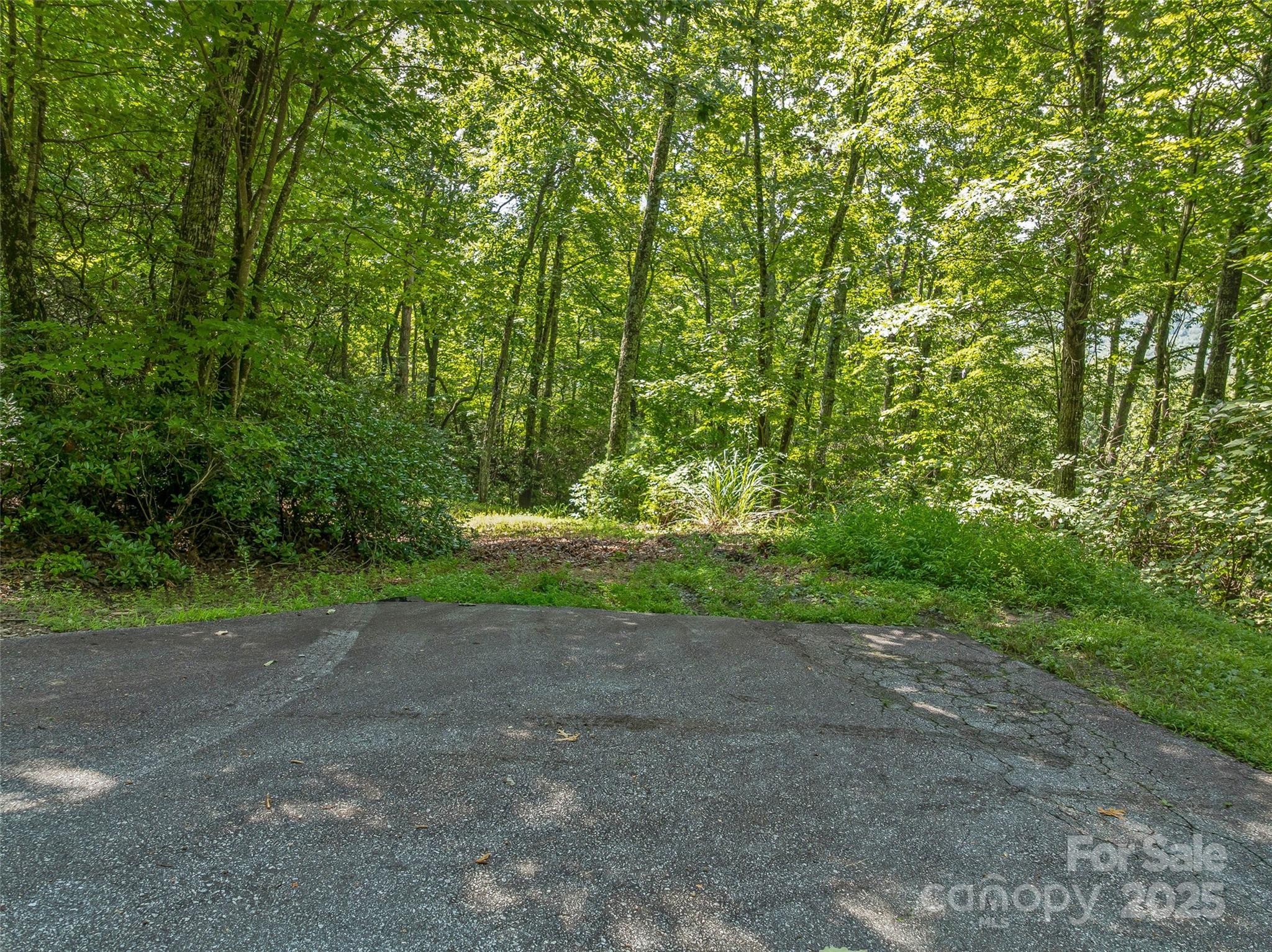 72 Smokey Ridge Trail, Unit 196 Arden, NC 28704 - Photo 25 of 34 a view of a field with plants and trees