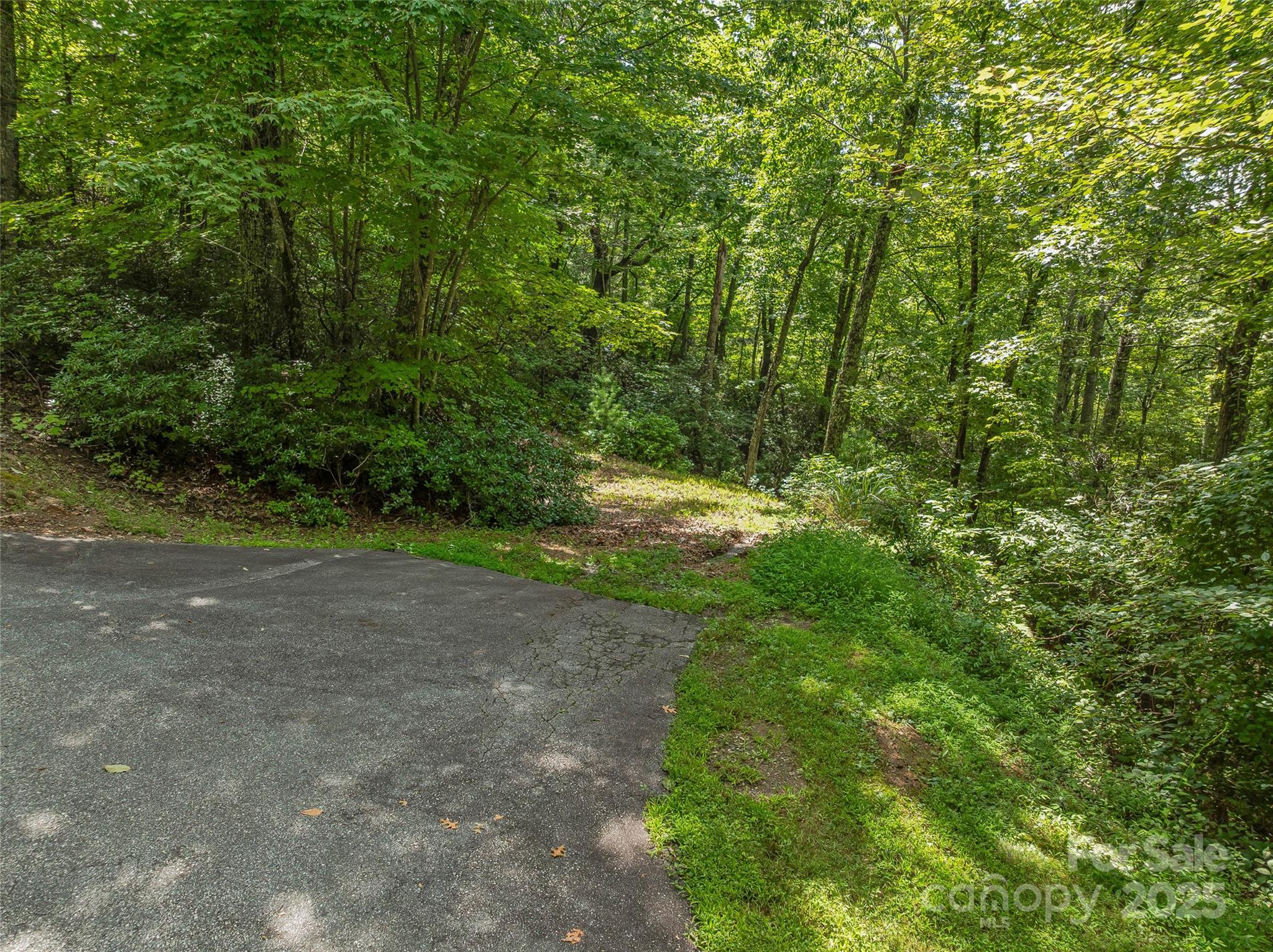 72 Smokey Ridge Trail, Unit 196 Arden, NC 28704 - Photo 26 of 34 a view of outdoor space and trees